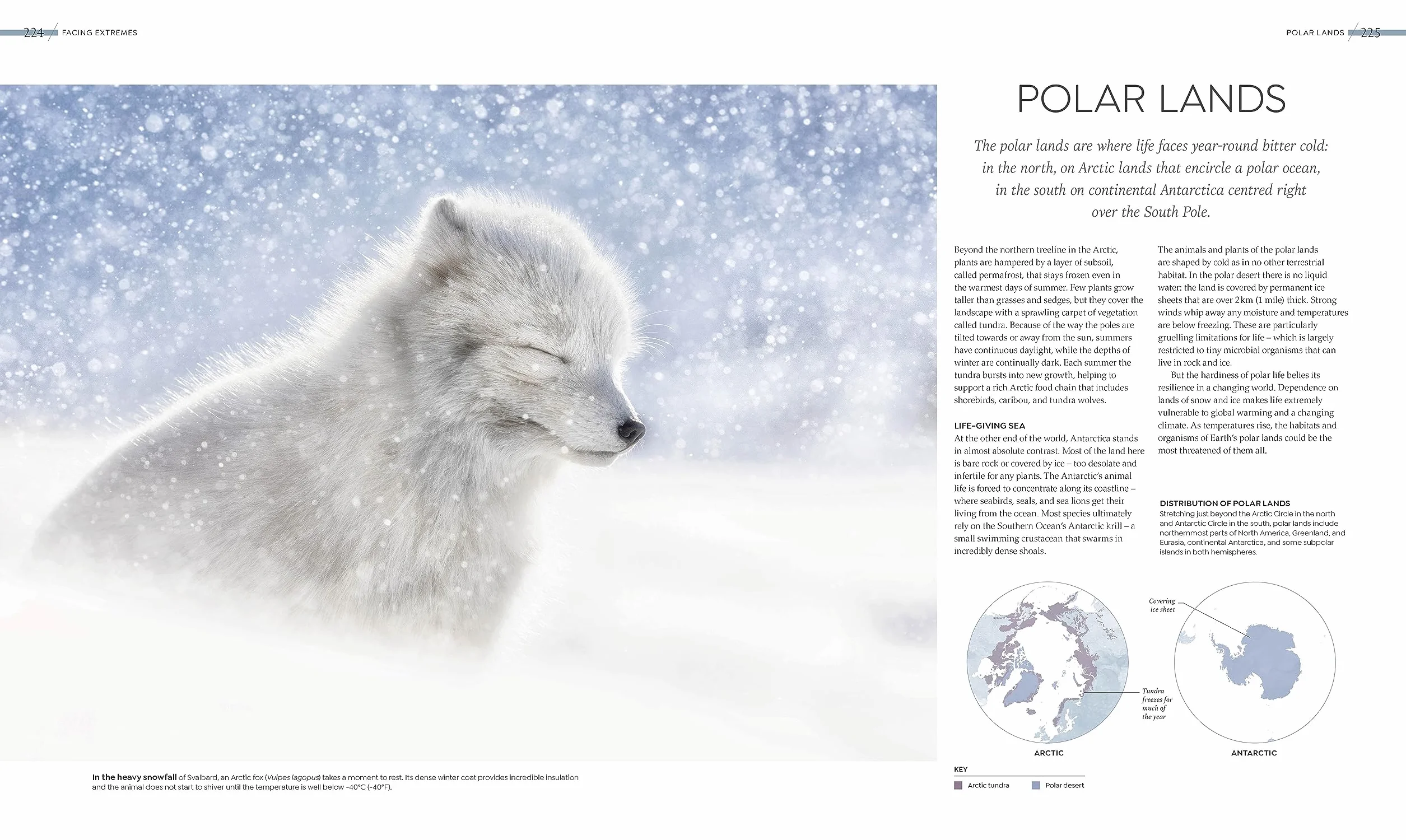 Habitats: Discover Earth's Precious Wild Places