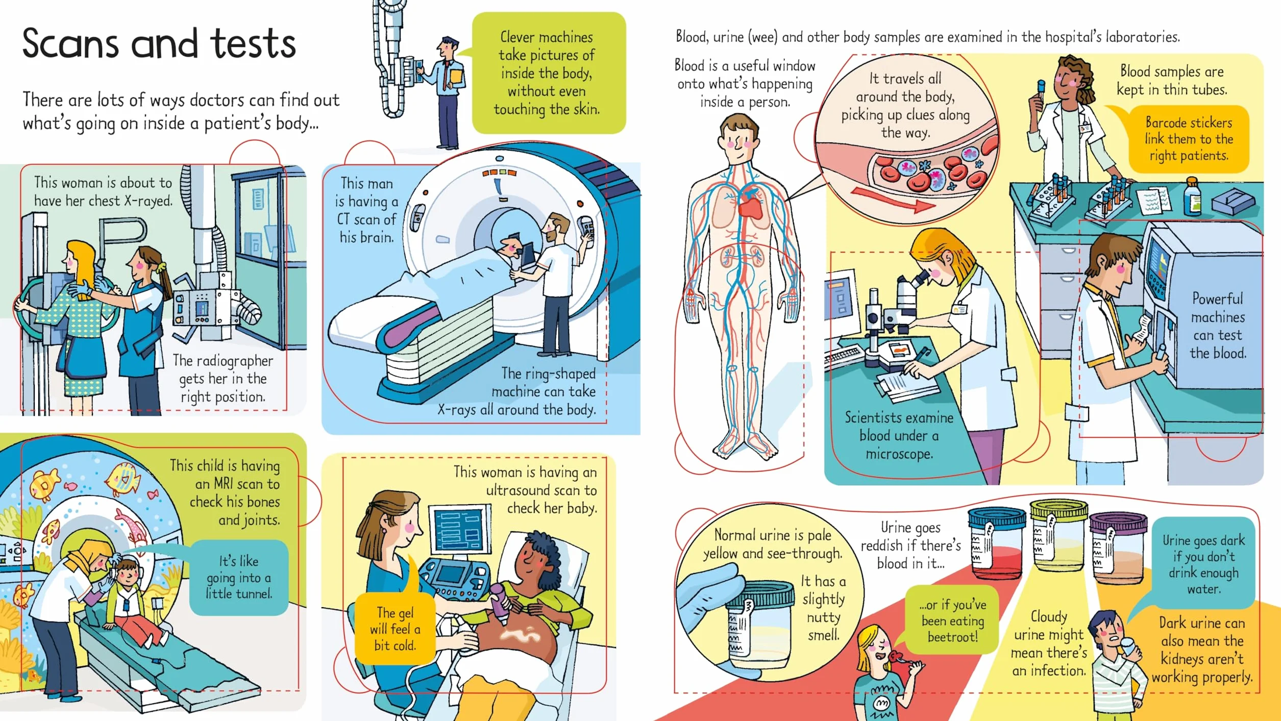 Look Inside a Hospital: 1
