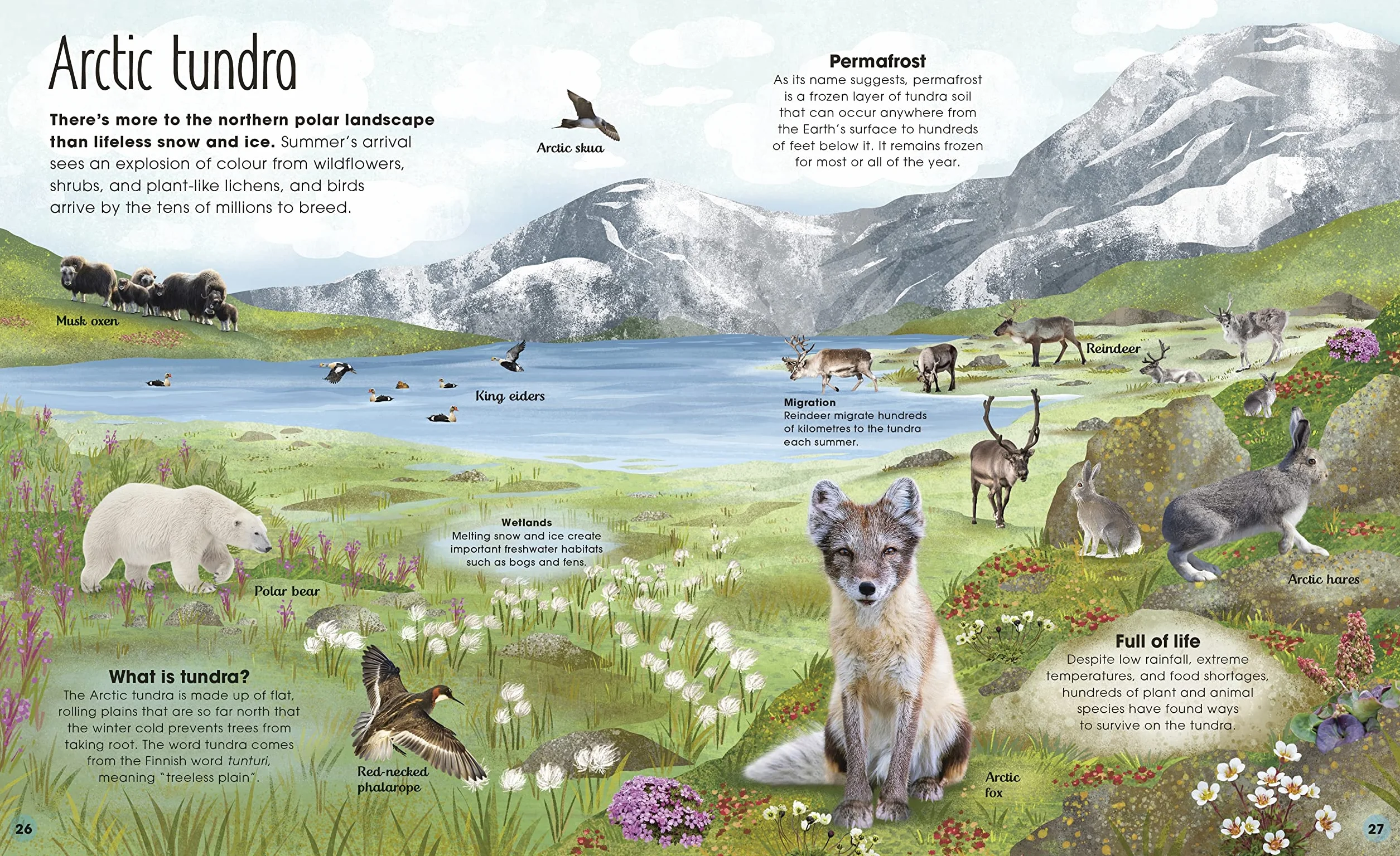 The Frozen Worlds: The Astonishing Nature of the Arctic and Antarctic