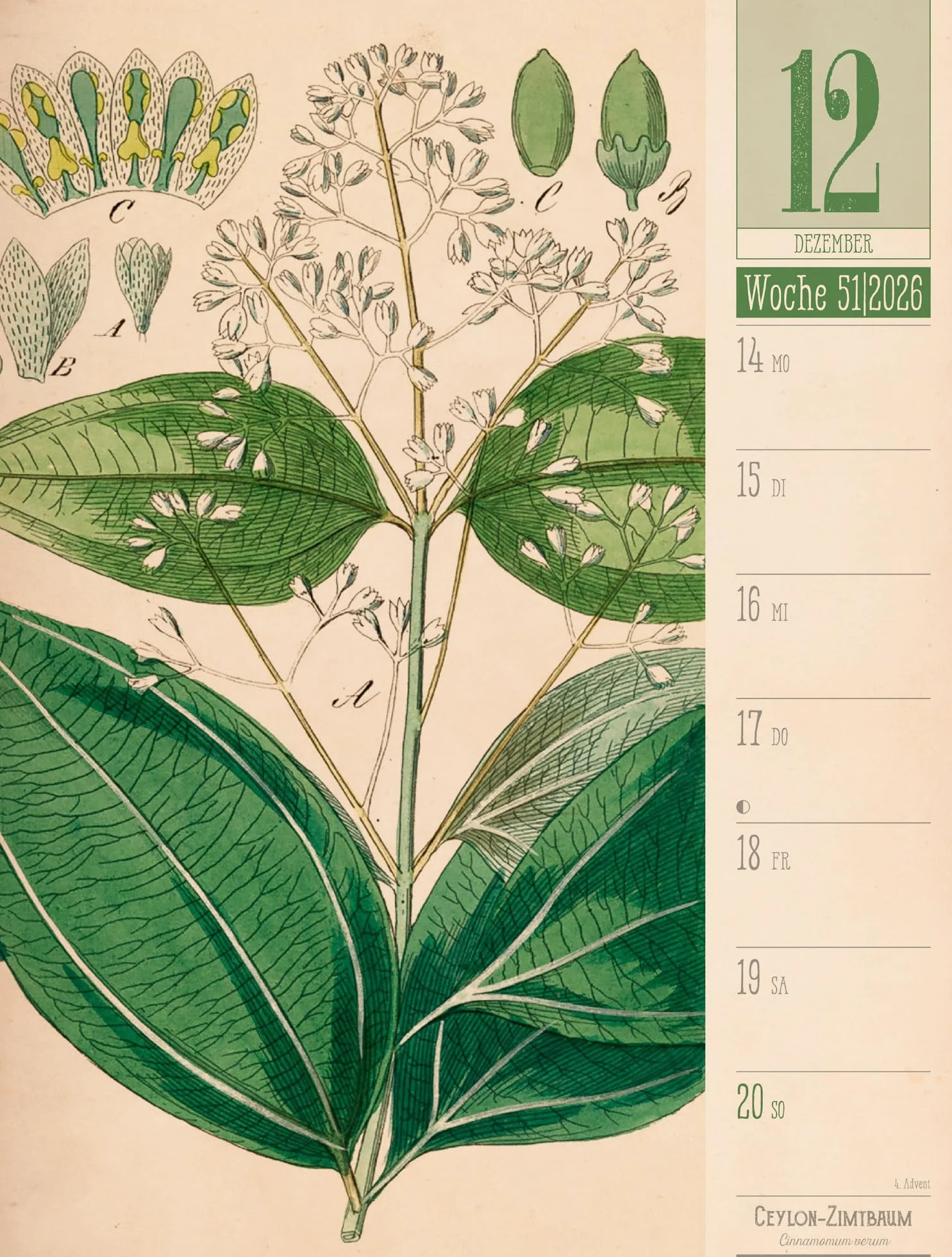 Culinarium Wochenplaner Kalender 2026 | Küche, Kräuter, Kurioses: Informativer Küchen-Wochenkalender im Hochformat (25x33 cm) | Vintage & Retro