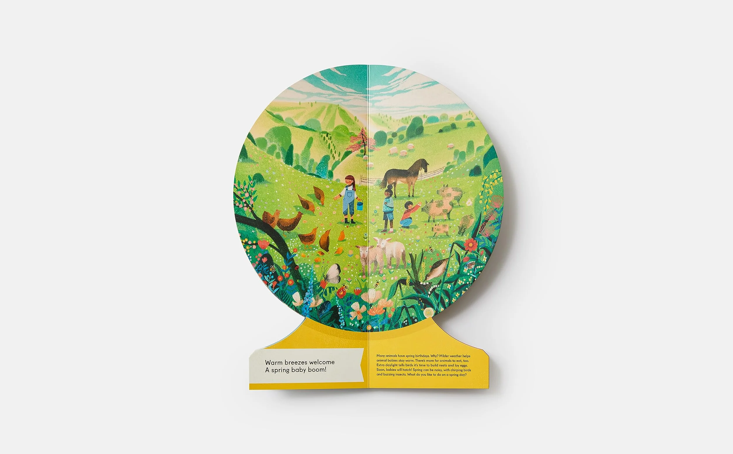 OUR SEASONS: The World in Winter, Spring, Summer, and Autumn