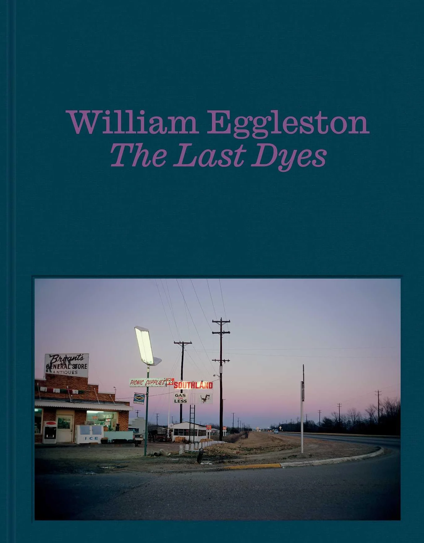 William Eggleston The Last Dyes /anglais