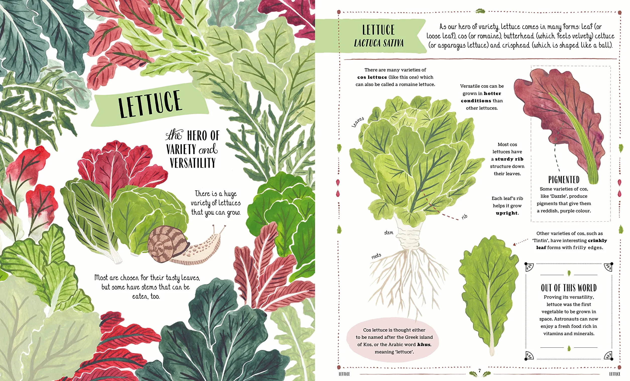 Grow: A first guide to plants and how to grow them