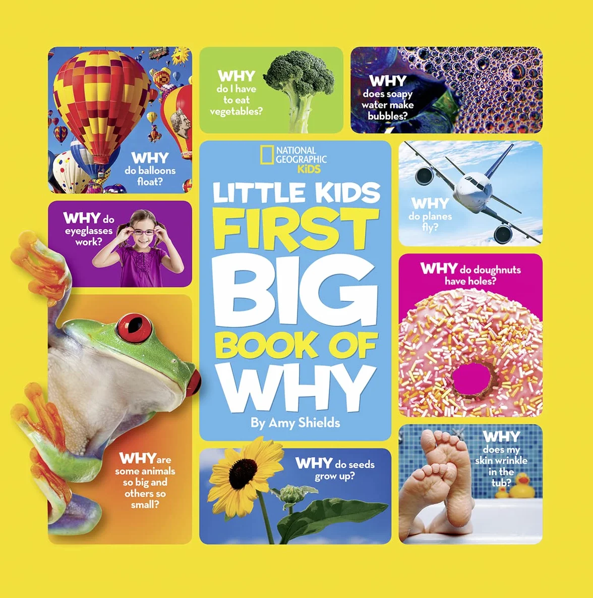 Little Kids First Big Book of Why: Questions and Answers About the World for Curious Kids