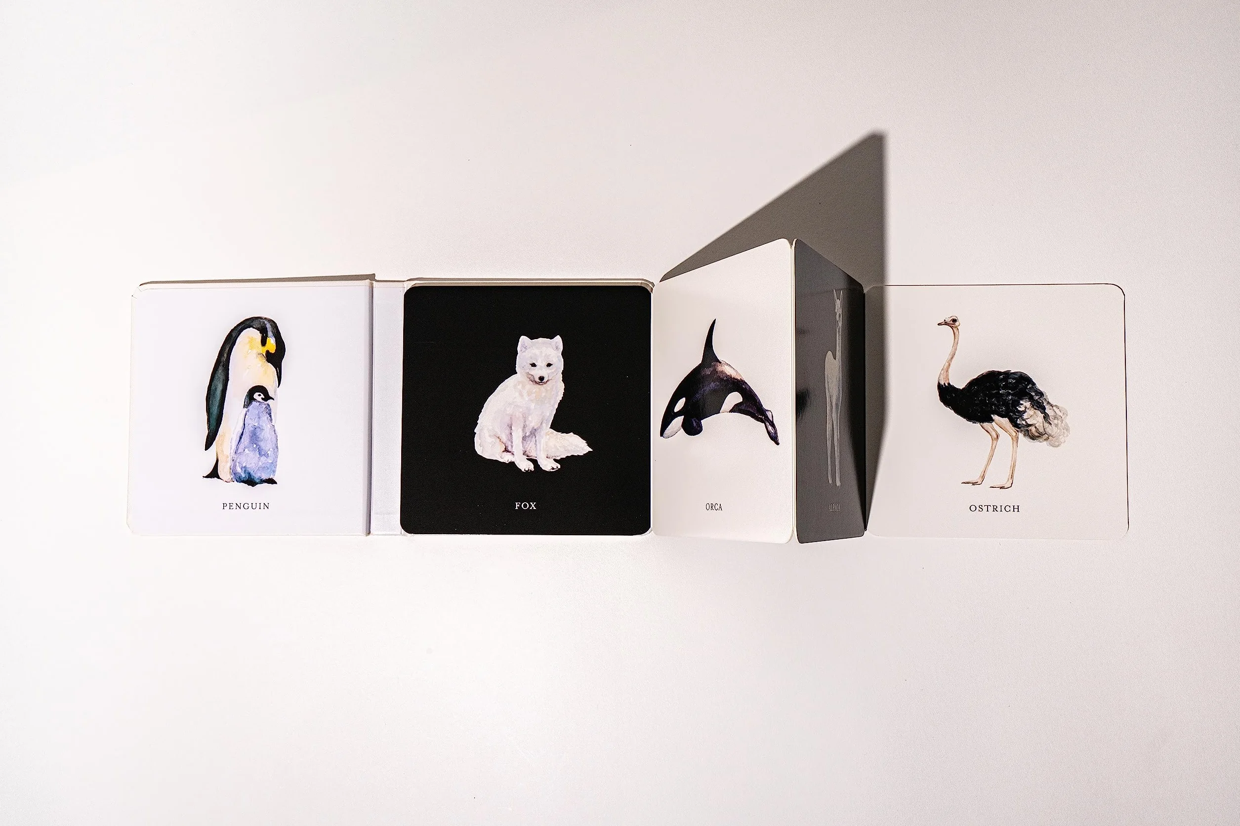 Baby's Black and White Contrast Book: High-Contrast Art for Visual Stimulation at Tummy Time: 4