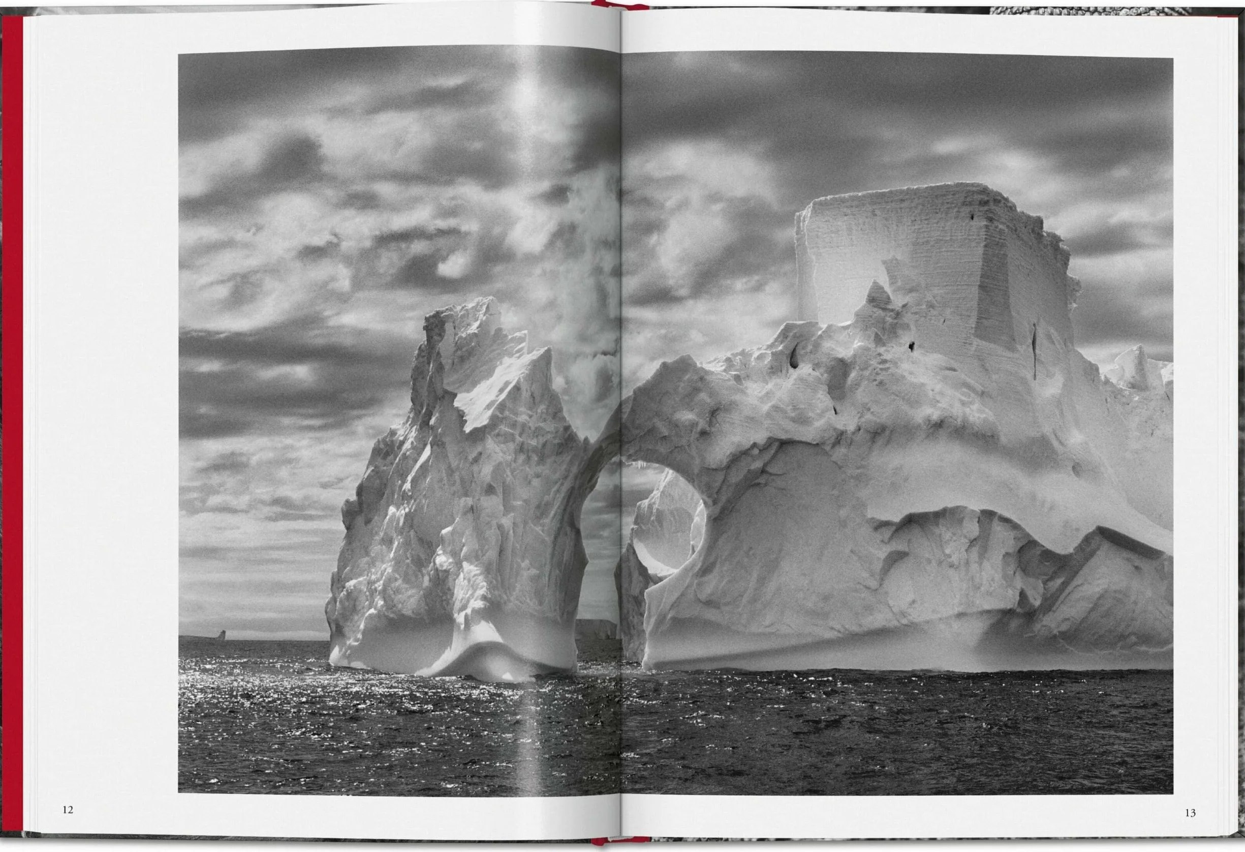 Salgado, Genesis