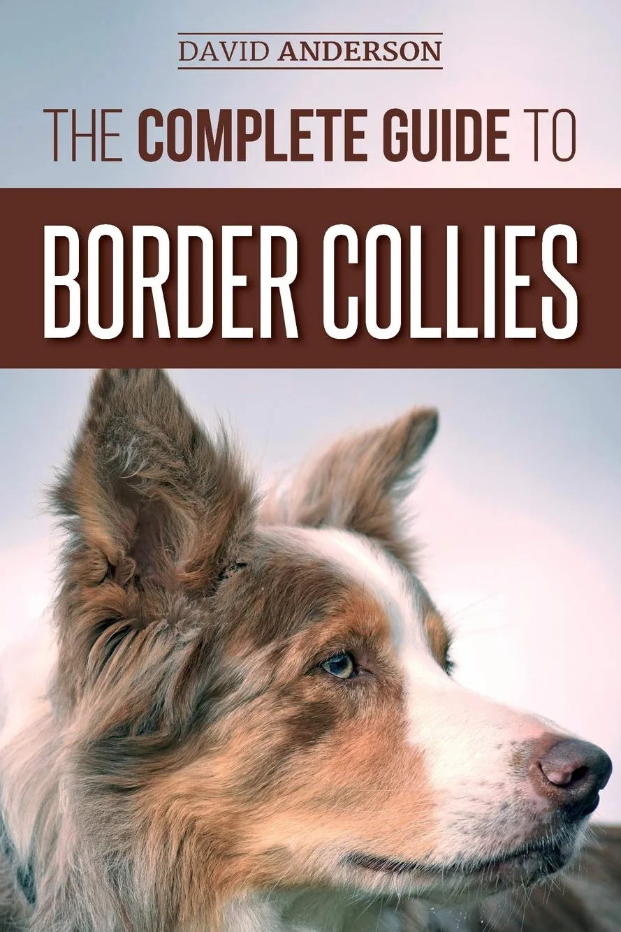 The Complete Guide to Border Collies: Training, teaching, feeding, raising, and loving your new Border Collie puppy