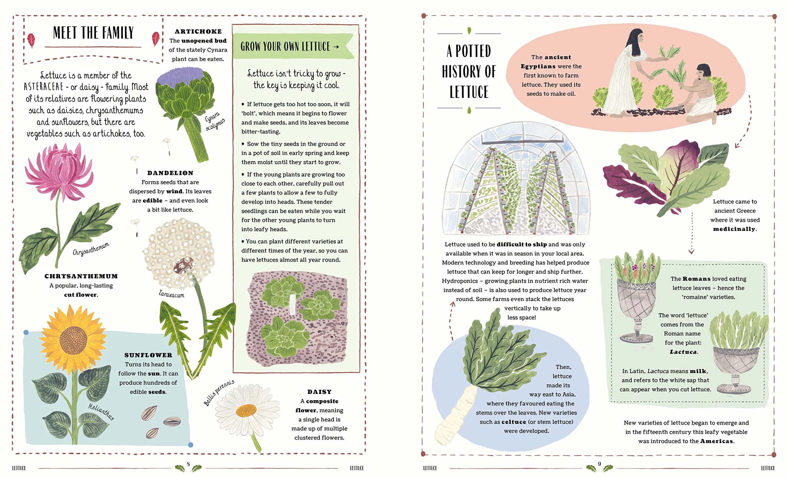 Grow: A first guide to plants and how to grow them
