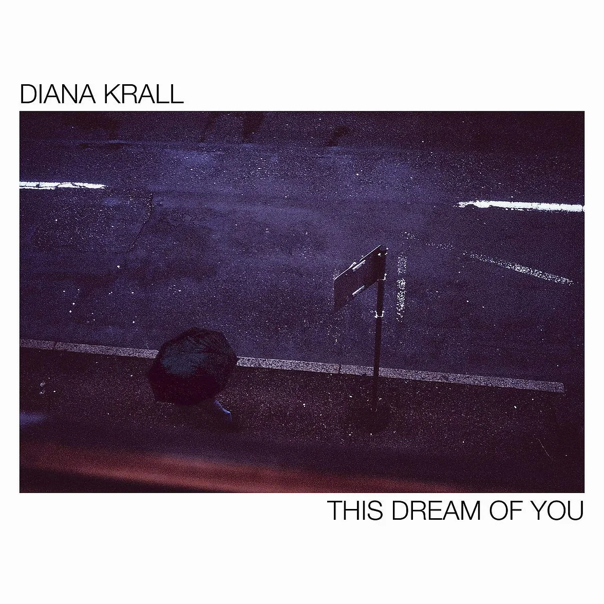 This Dream of You