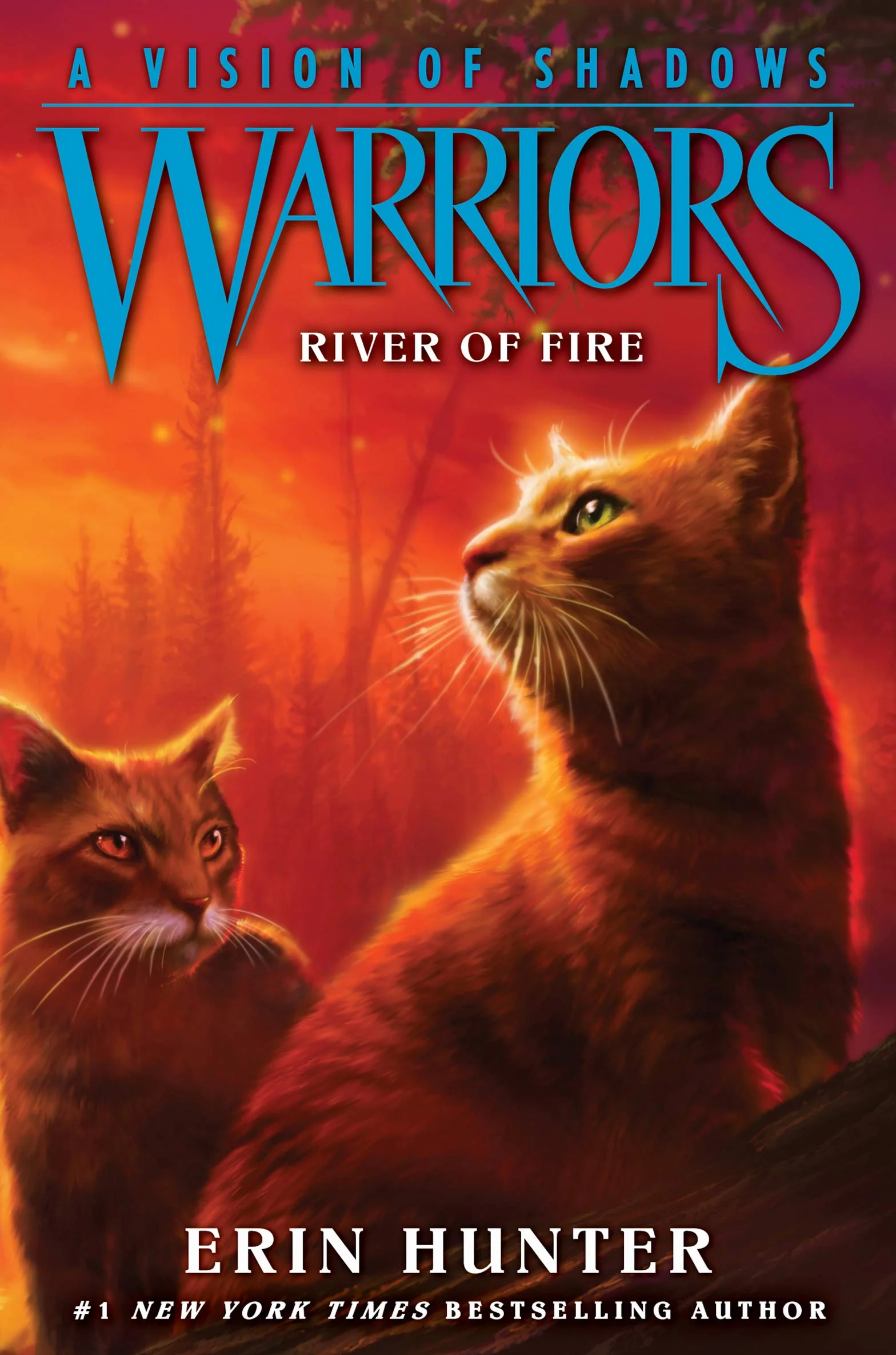 Warriors: A Vision of Shadows: River of Fire: 5