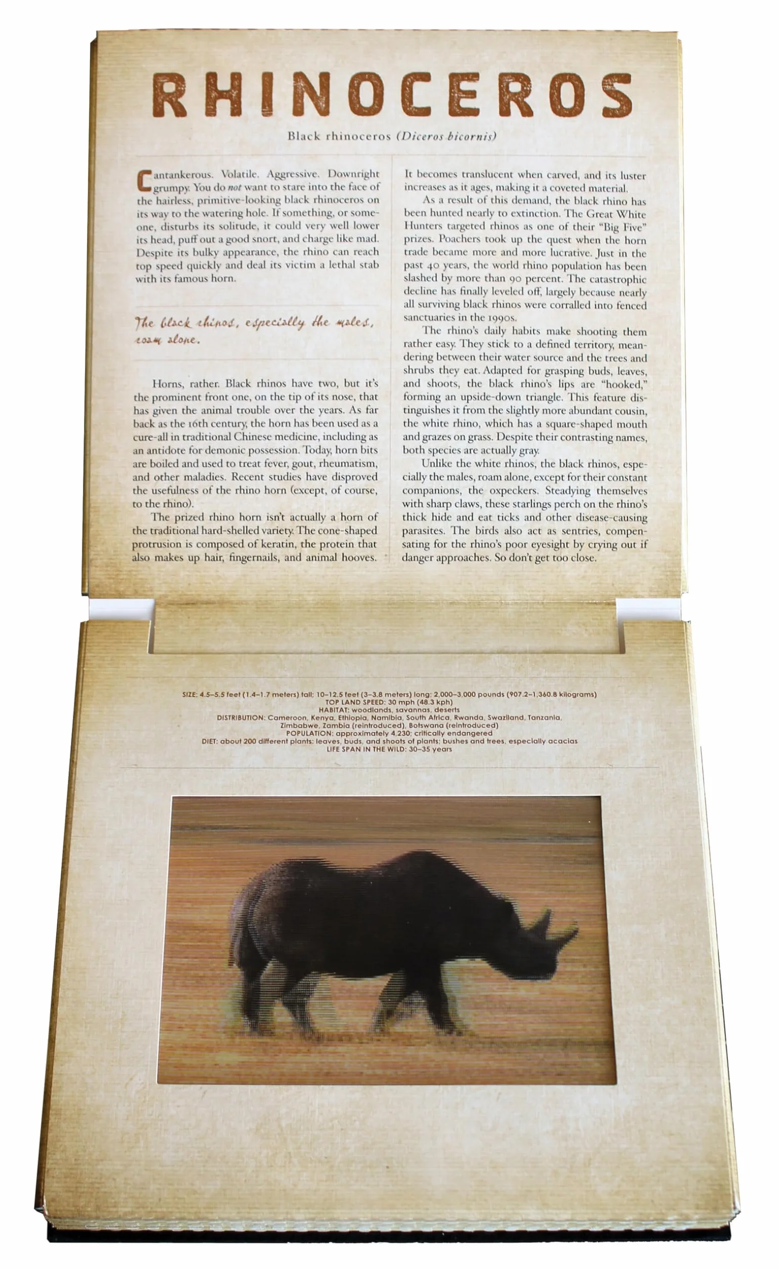 Safari: A Photicular Book