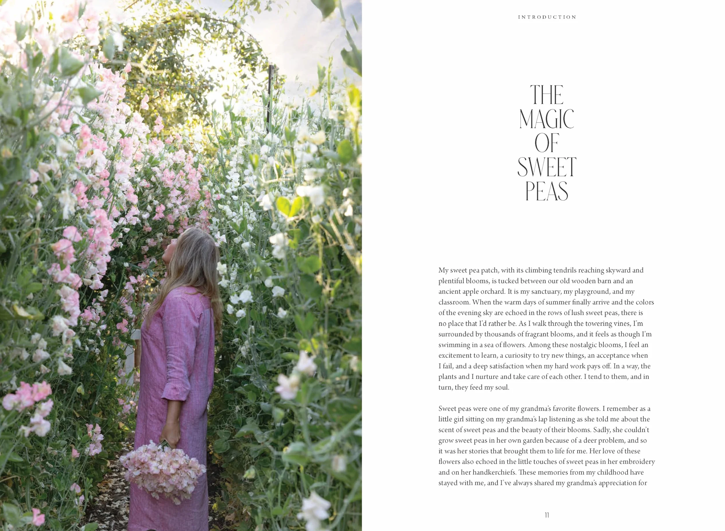 Sweet Pea School: Growing & Arranging the Garden's Most Romantic Blooms