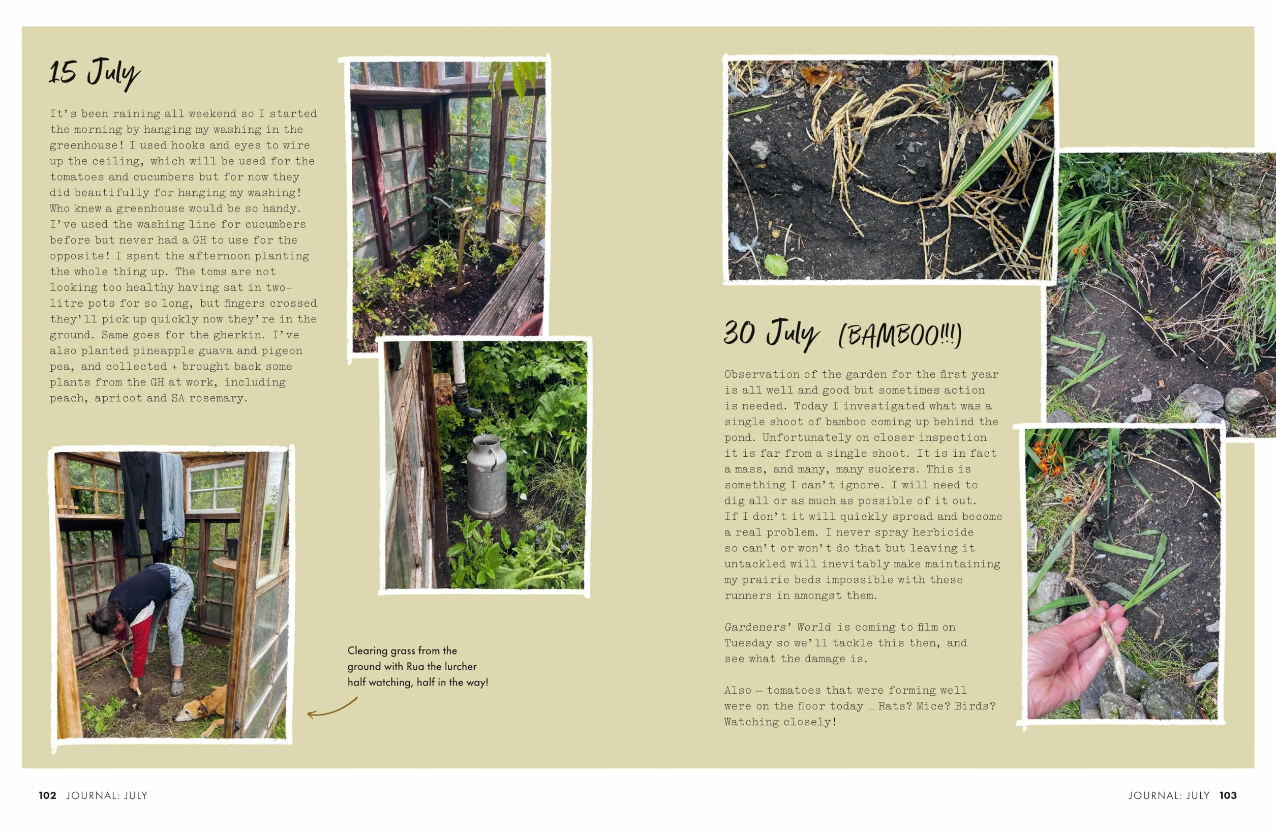 Gardeners' World: A Year in a Small Garden: Creating a Beautiful Garden in Any Space
