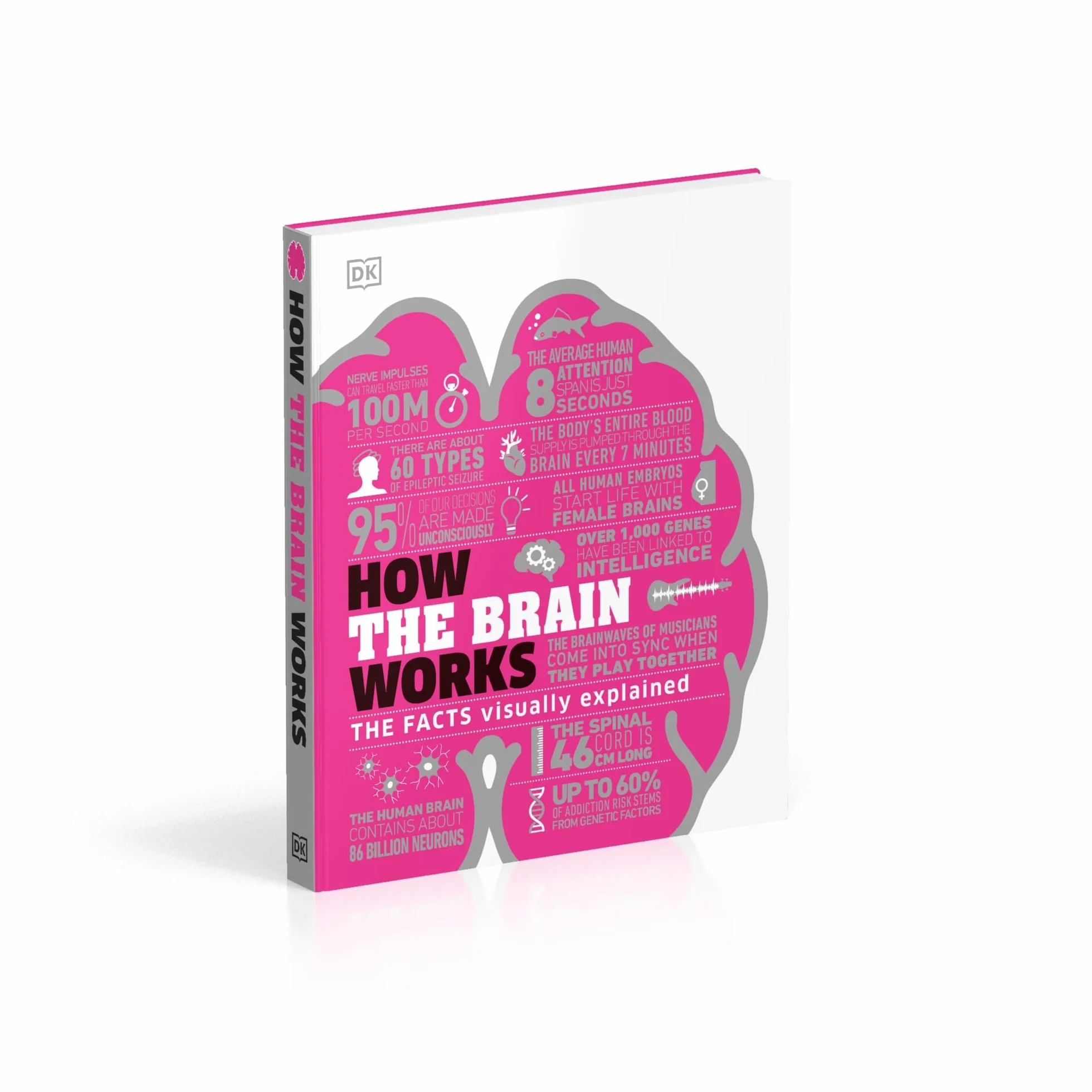 How the Brain Works: The Facts Visually Explained (How Things Work)