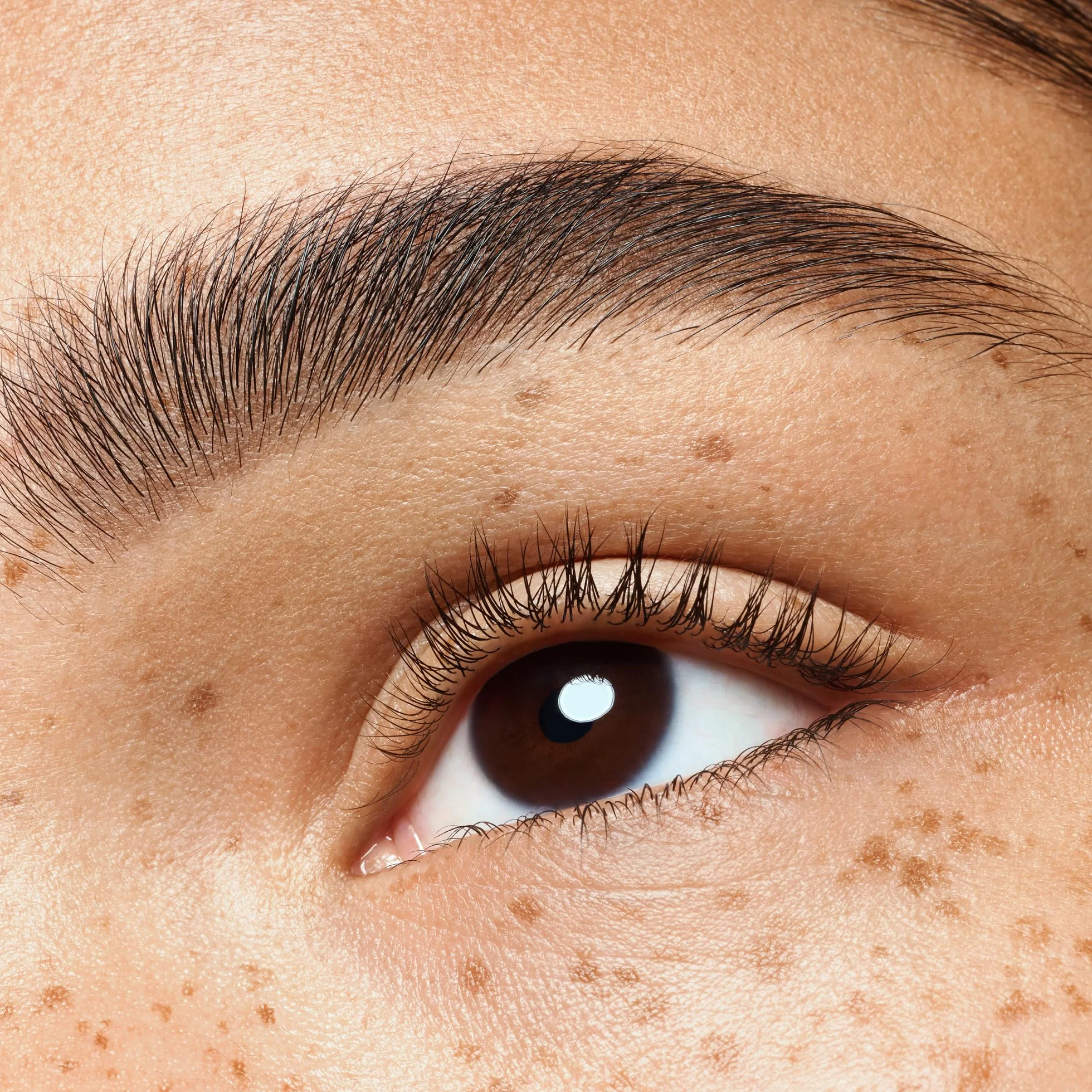 Essence Brow Powder Duo Zestaw do Brwi 1.8g