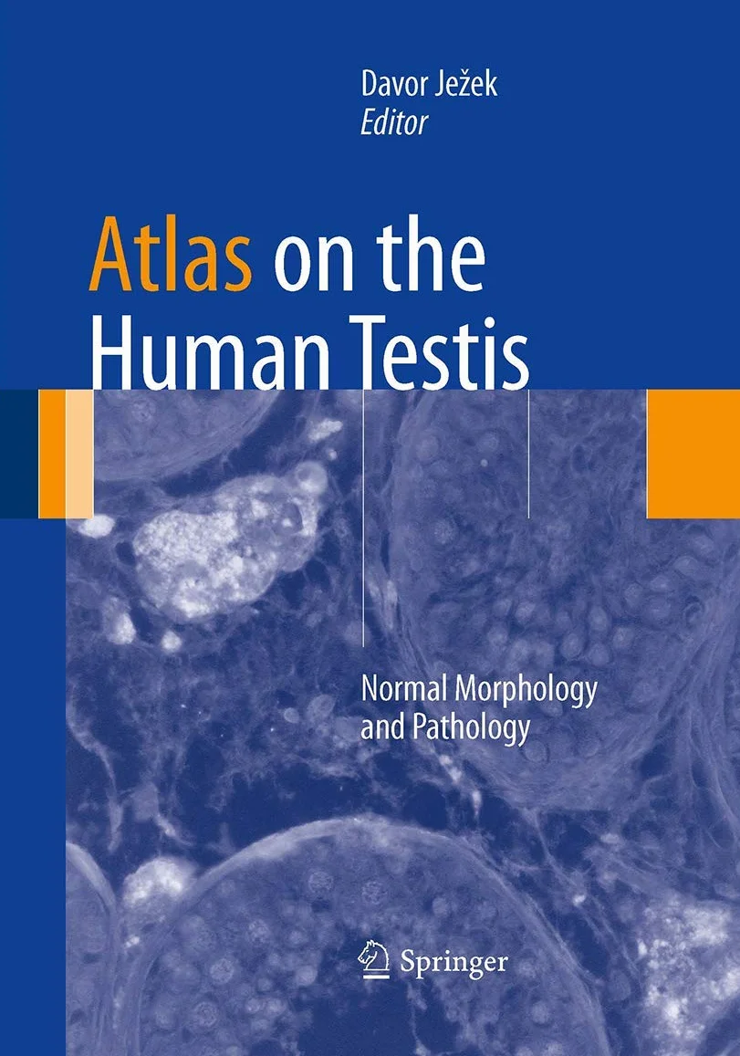 Atlas on the Human Testis: Normal Morphology and Pathology