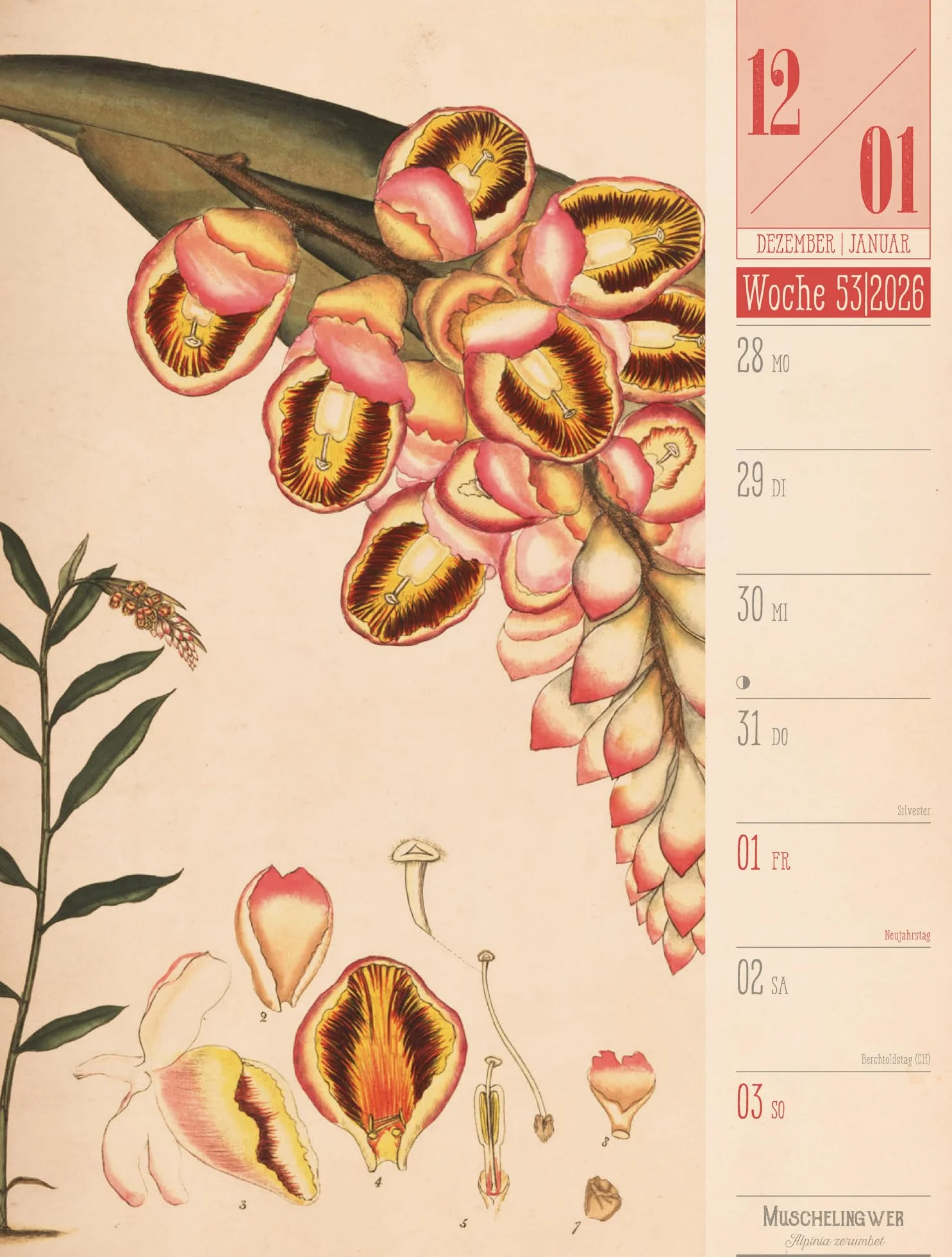 Culinarium Wochenplaner Kalender 2026 | Küche, Kräuter, Kurioses: Informativer Küchen-Wochenkalender im Hochformat (25x33 cm) | Vintage & Retro
