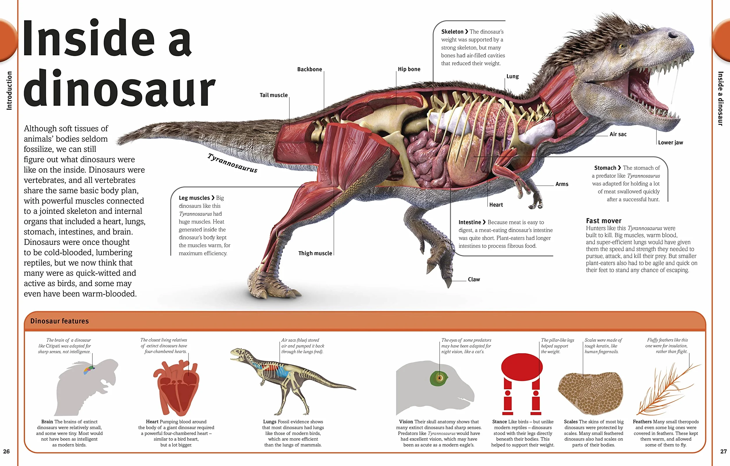 The Dinosaurs Book: Our World in Pictures