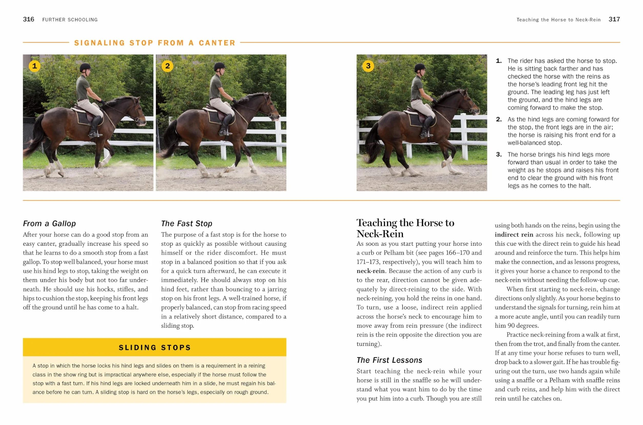 Storey's Guide to Training Horses, 3rd Edition: Ground Work, Driving, Riding