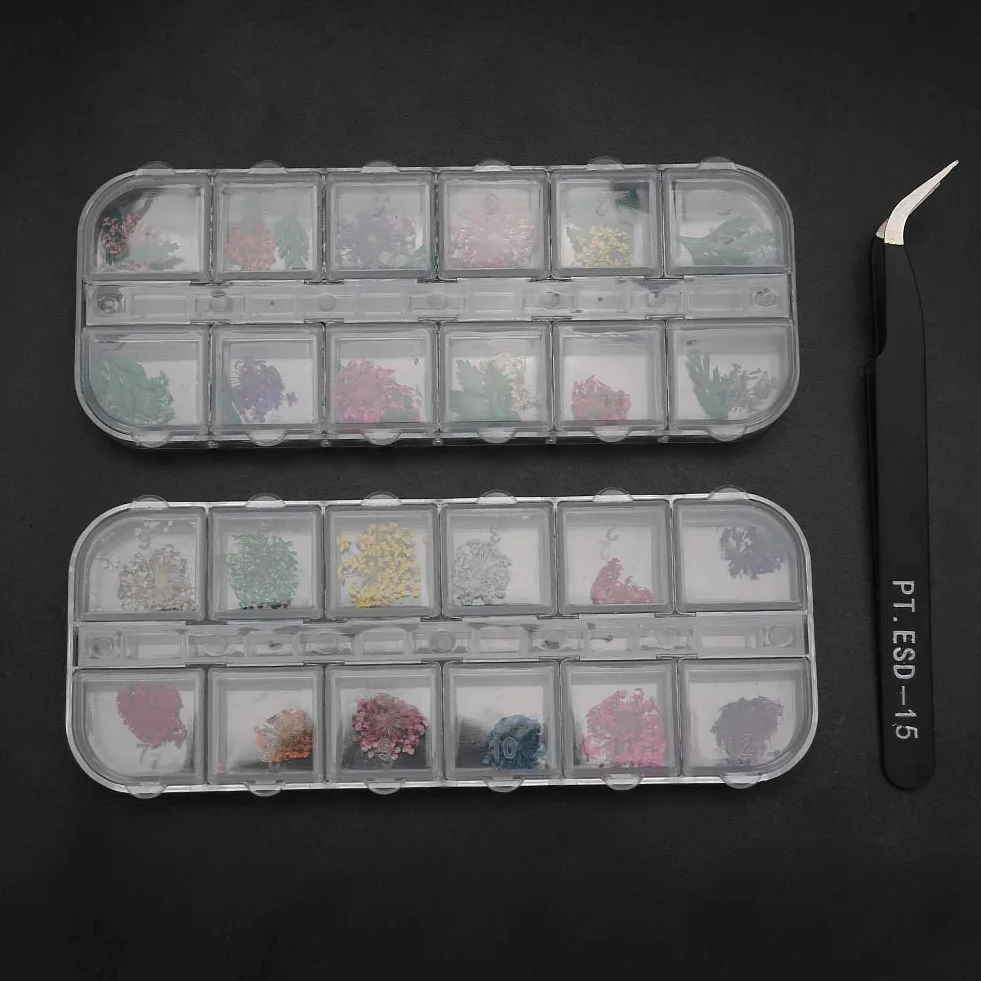 Suszony Kwiat do Paznokci Trójwymiarowe Żetony Dekoracja Manicure Zestaw DIY Pęsety