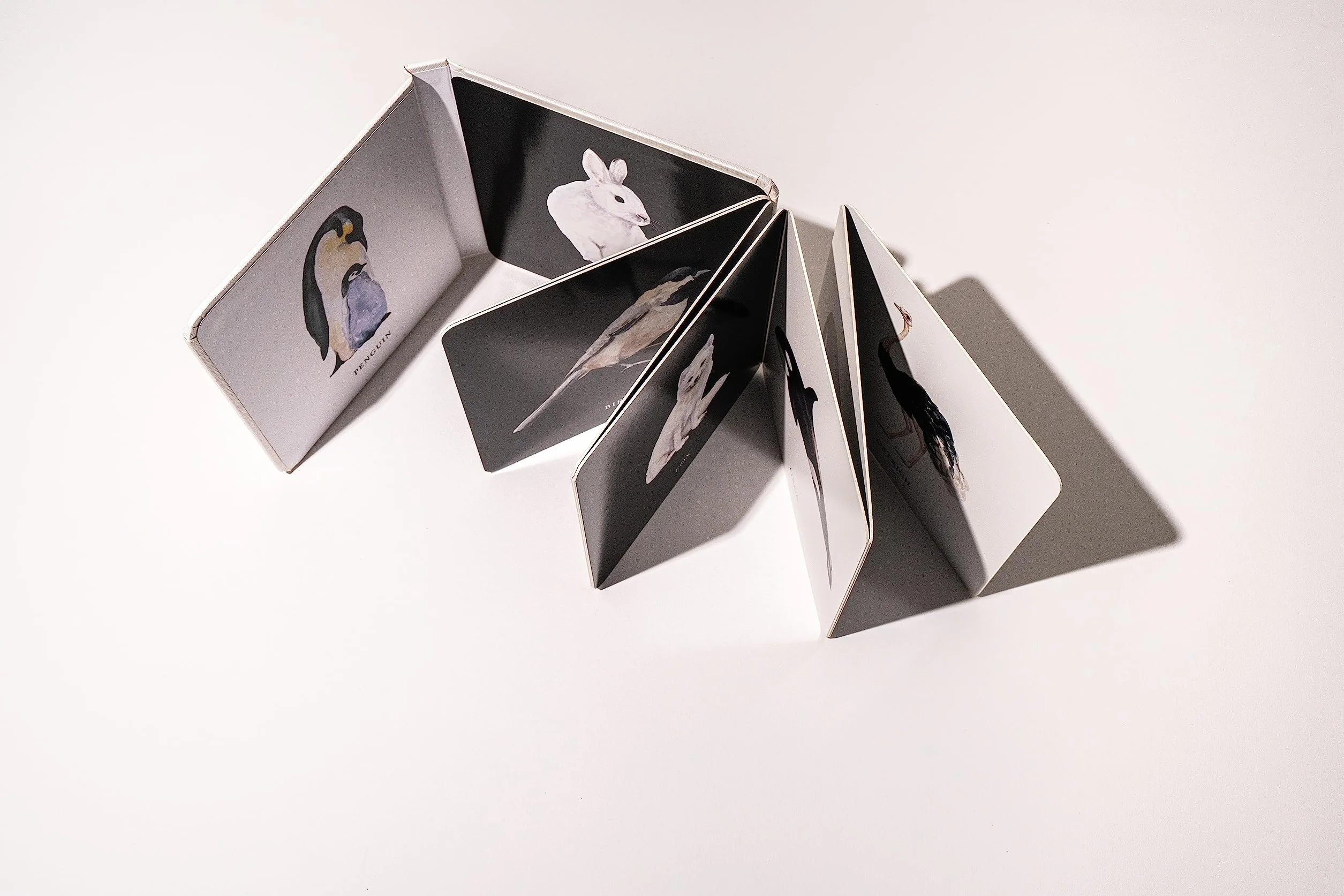 Baby's Black and White Contrast Book: High-Contrast Art for Visual Stimulation at Tummy Time: 4