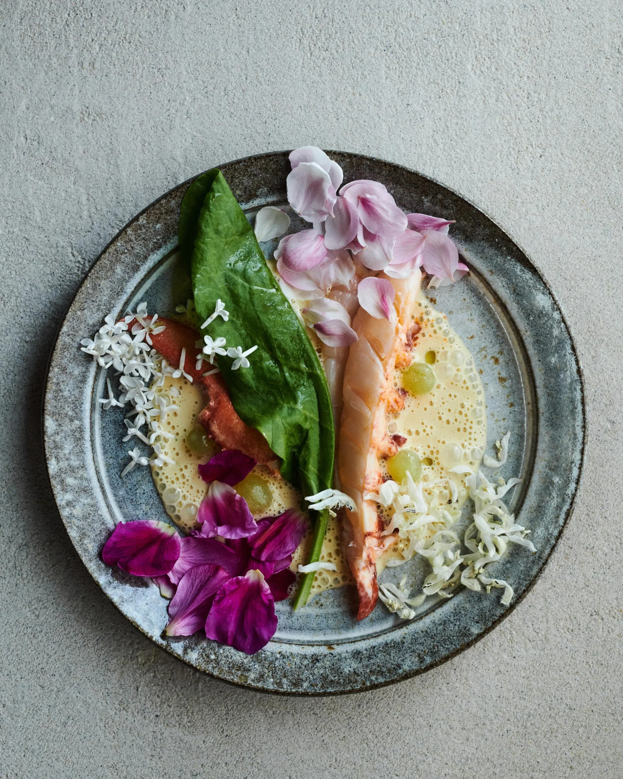 Noma 2.0 /anglais: Vegetable, Forest, Ocean