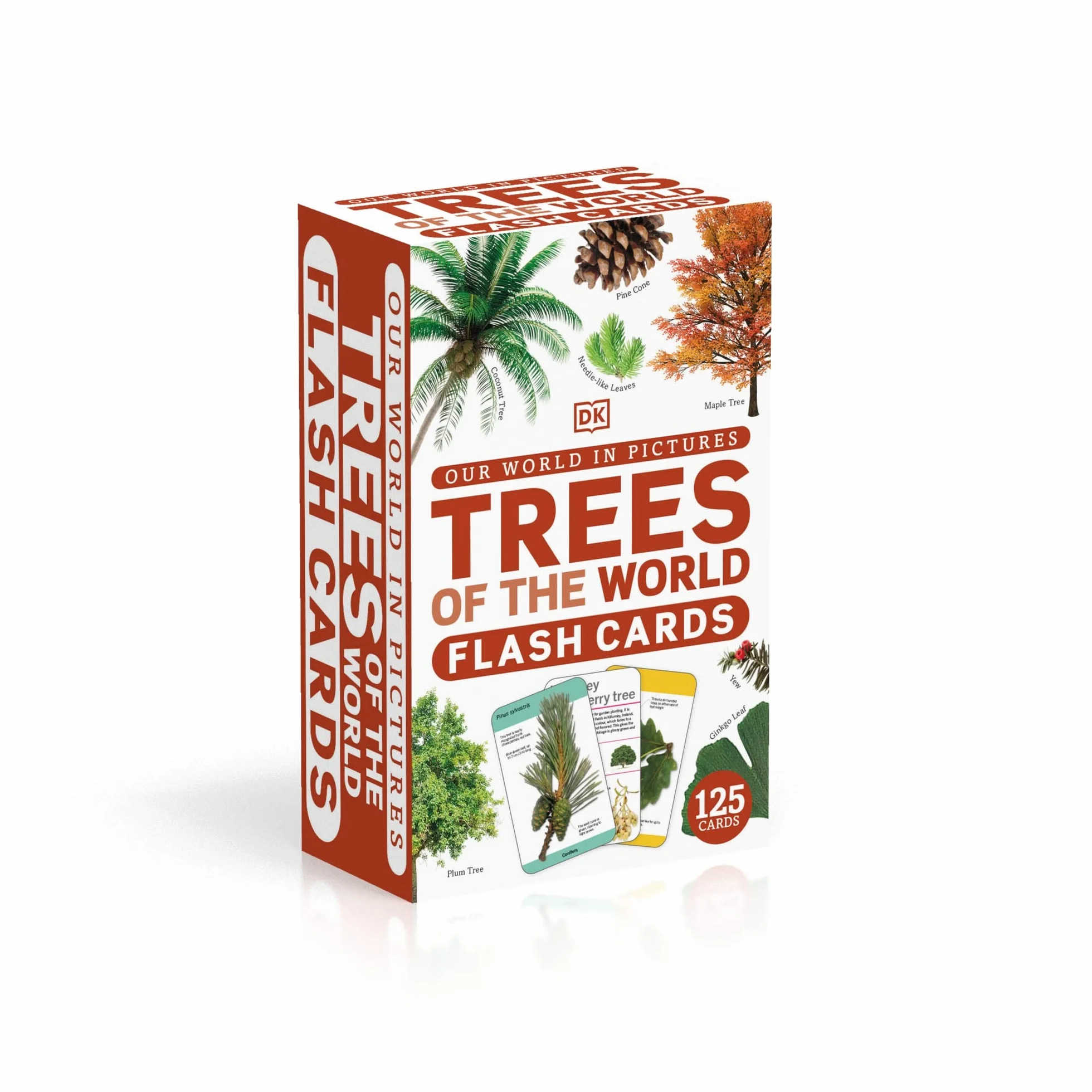 Our World in Pictures Trees of the World Flash Cards