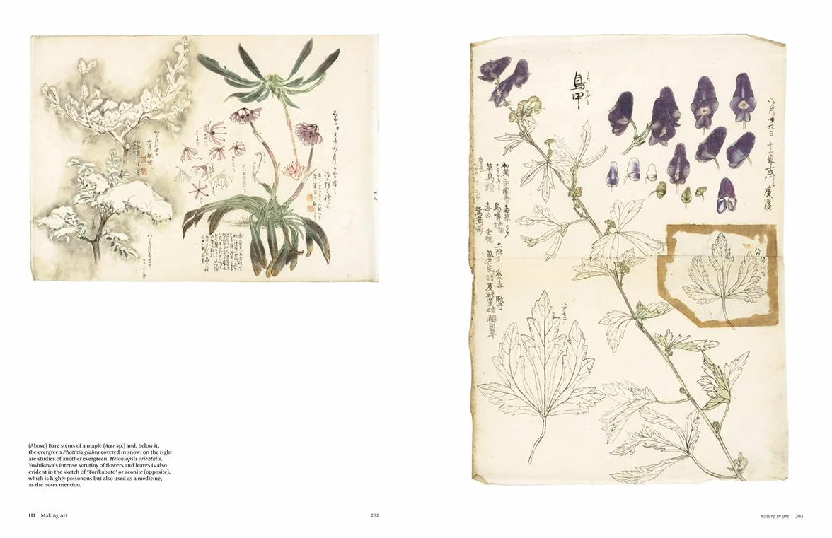 Botanical Sketchbooks (paperback) /anglais