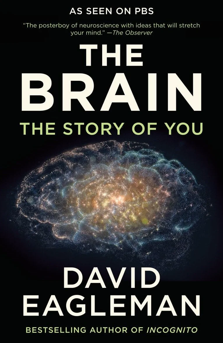 The Brain: The Story of You
