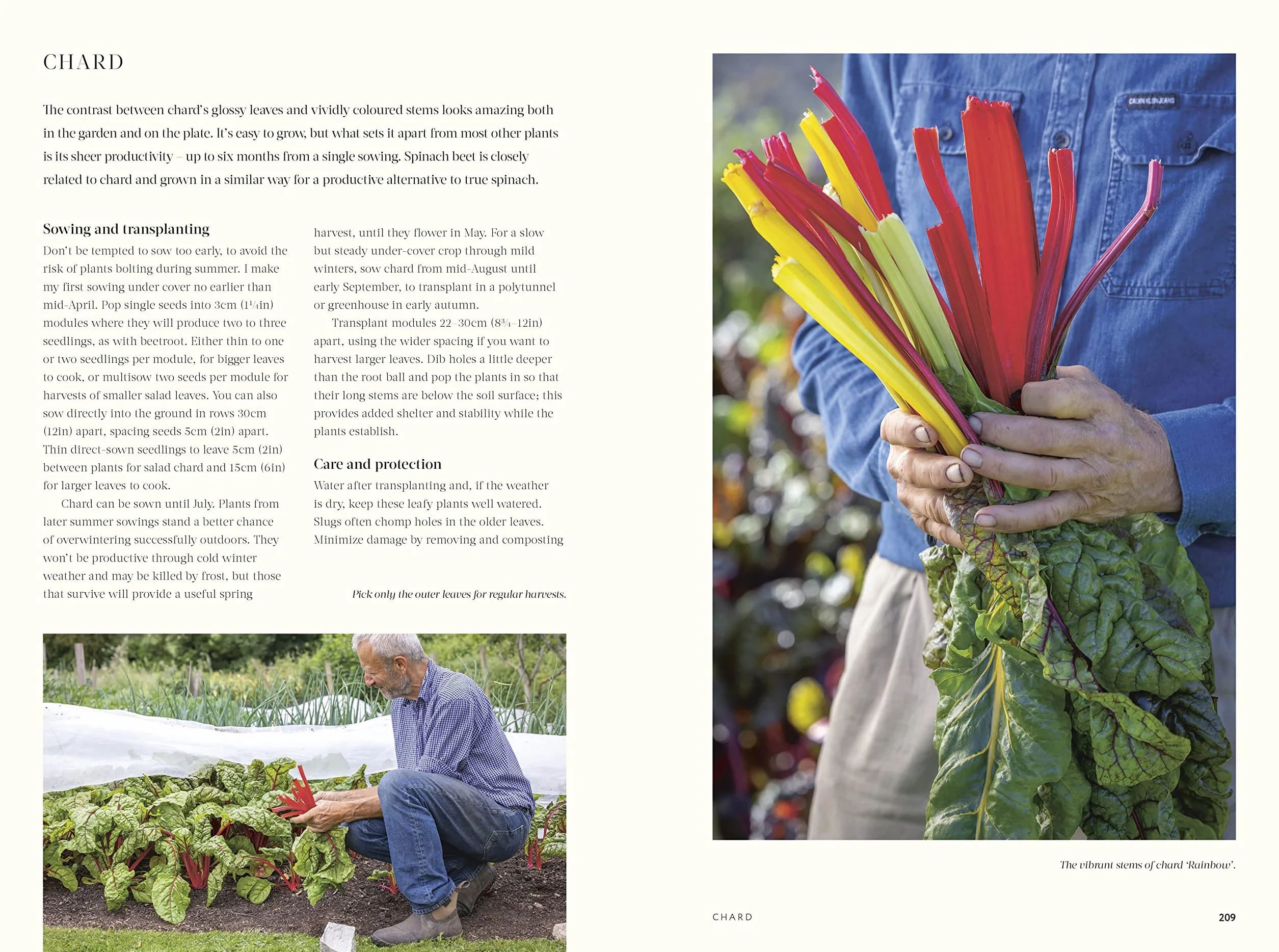 No Dig: Nurture your soil to grow better veg with less effort
