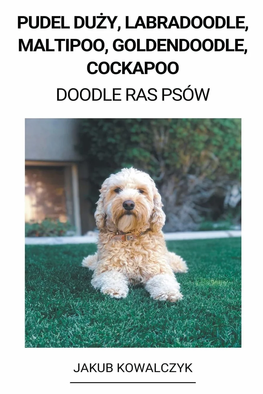 Pudel Duży, Labradoodle, Maltipoo, Goldendoodle, Cockapoo (Doodle Ras Psów)