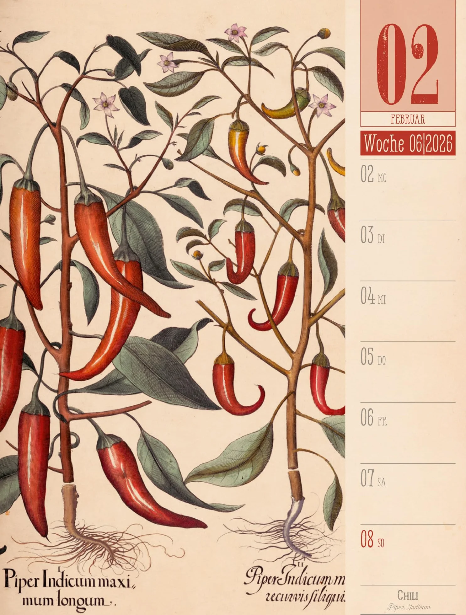 Culinarium Wochenplaner Kalender 2026 | Küche, Kräuter, Kurioses: Informativer Küchen-Wochenkalender im Hochformat (25x33 cm) | Vintage & Retro