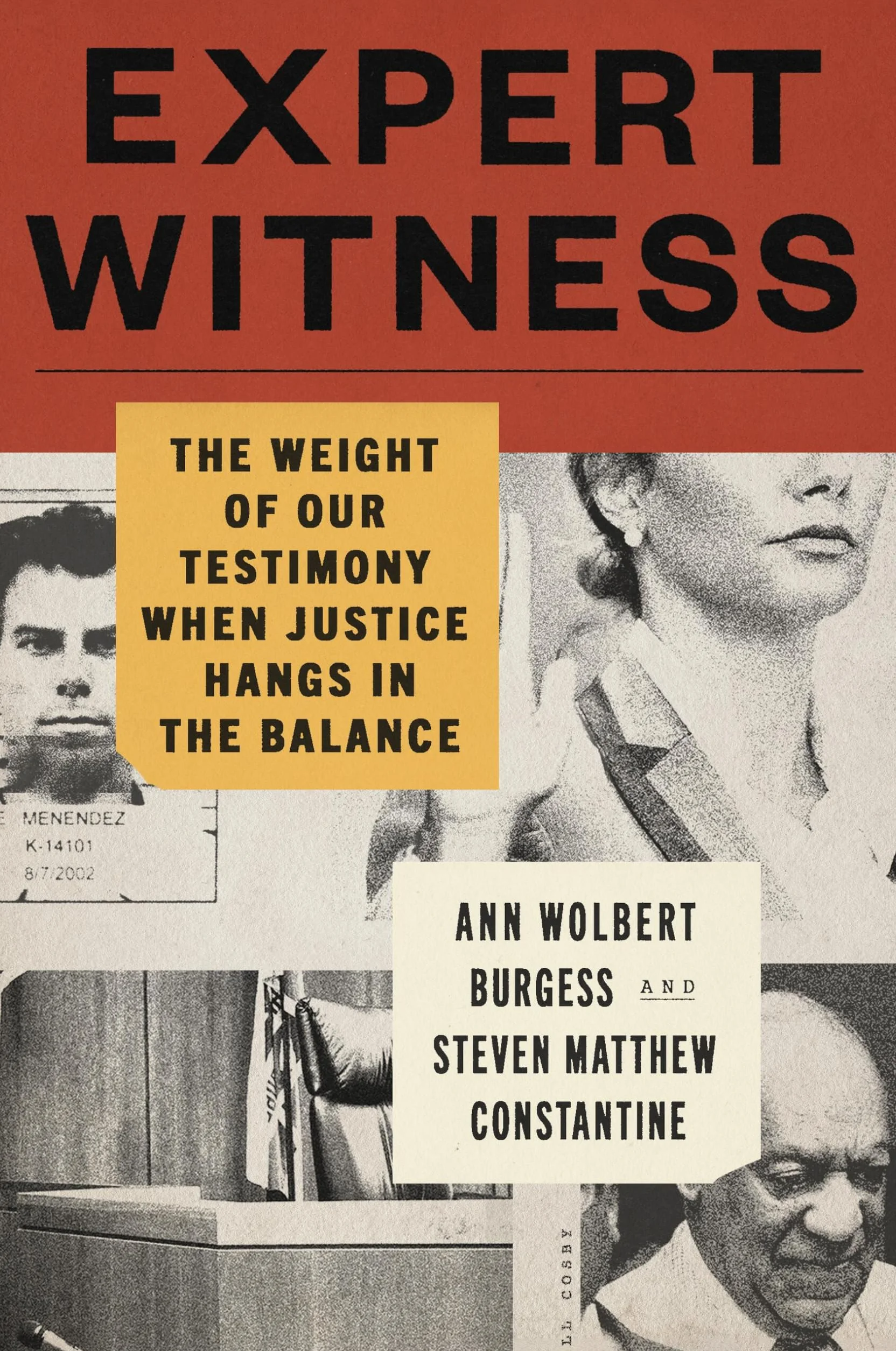 Expert Witness: The Weight of Our Testimony When Justice Hangs in the Balance