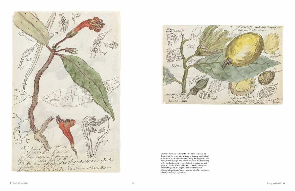 Botanical Sketchbooks (paperback) /anglais