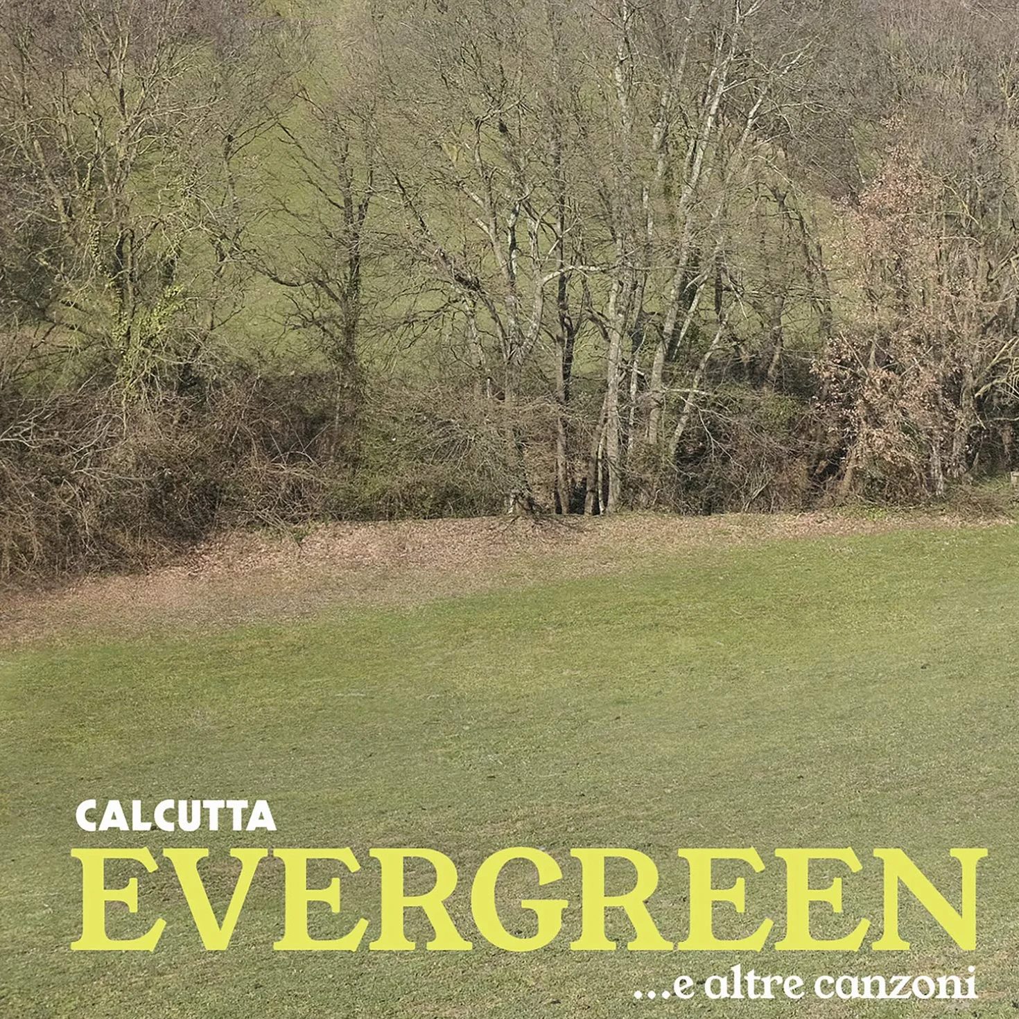 Evergreene Altre Canzoni
