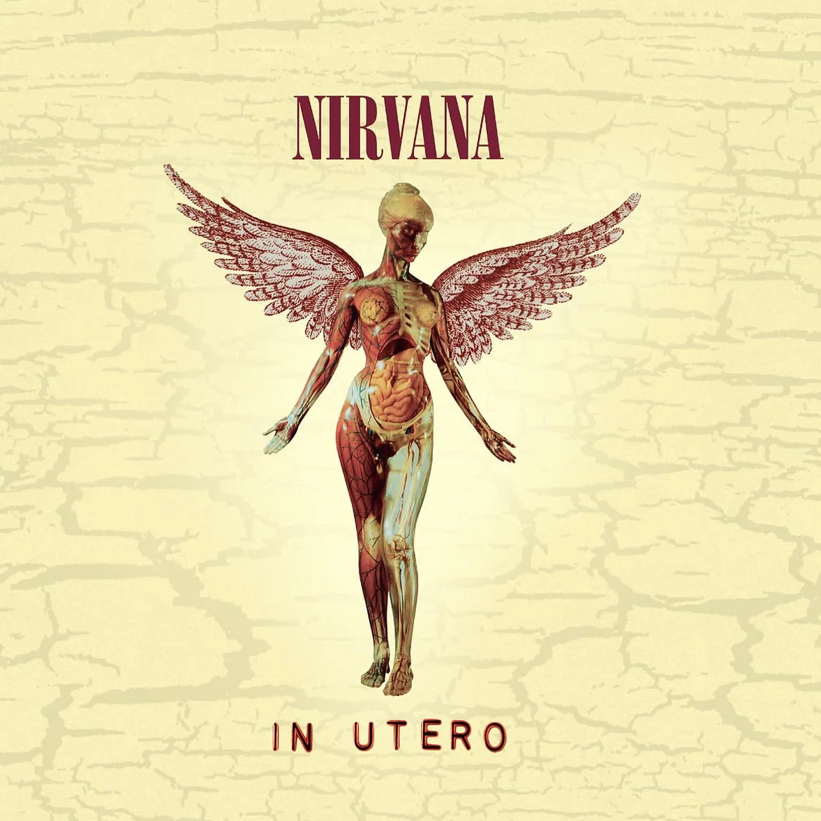 In Utero