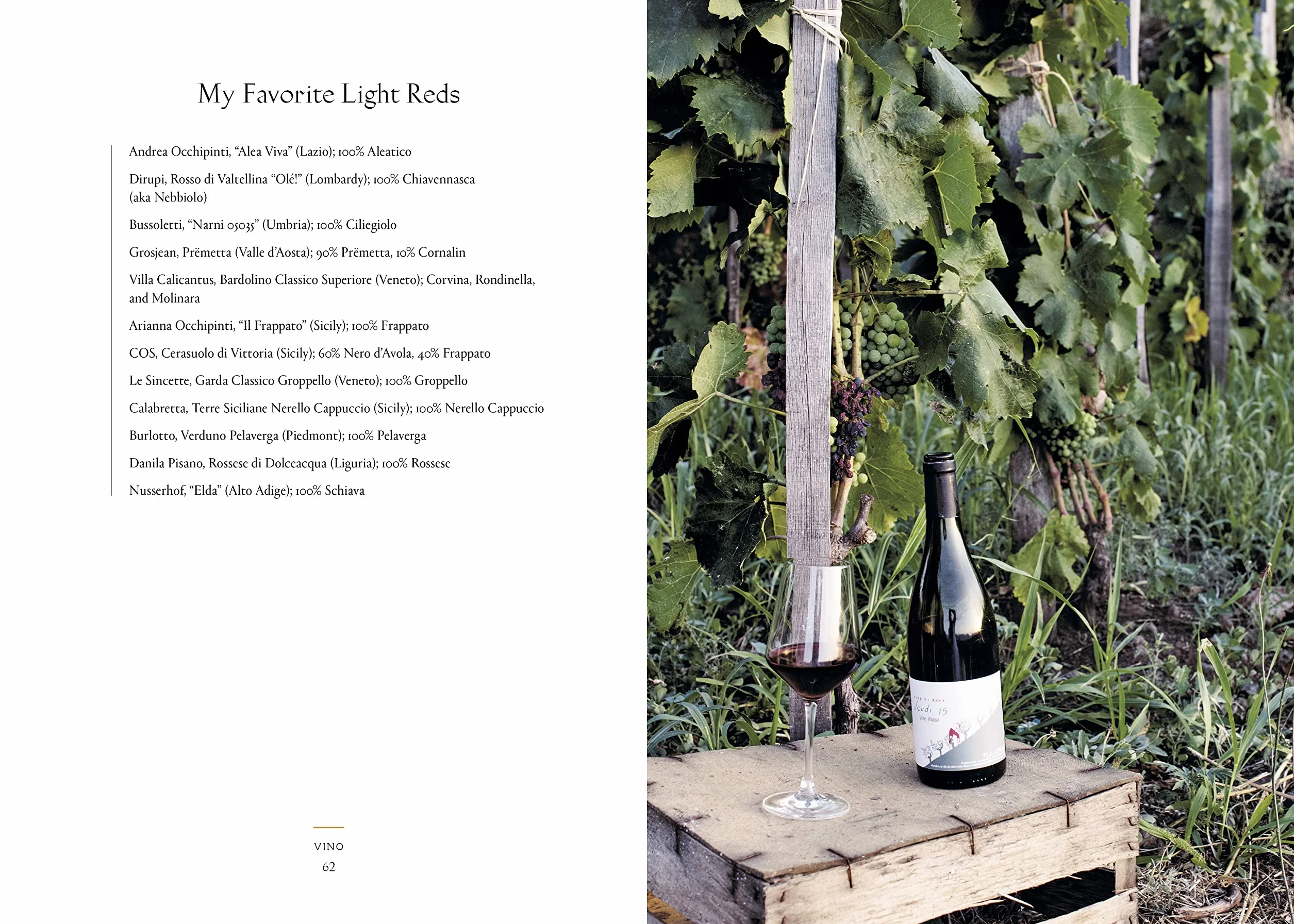 Vino: The Essential Guide to Real Italian Wine