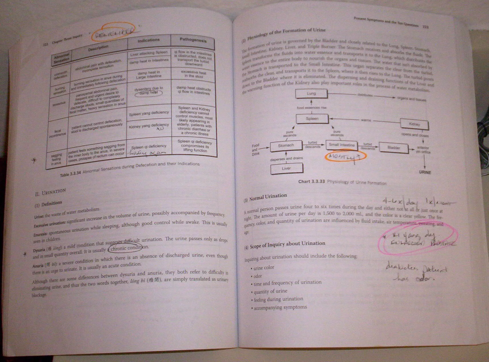 Traditional Chinese Medicine Diagnosis Study Guide