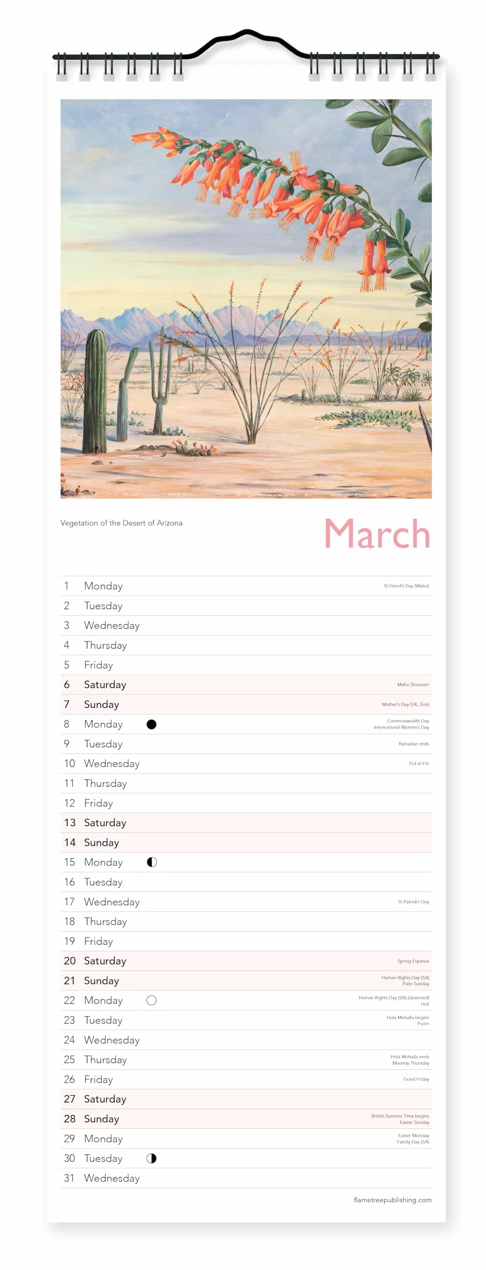 Kew Gardens: Landscapes by Marianne North Slim Calendar 2027 (Art Calendar)