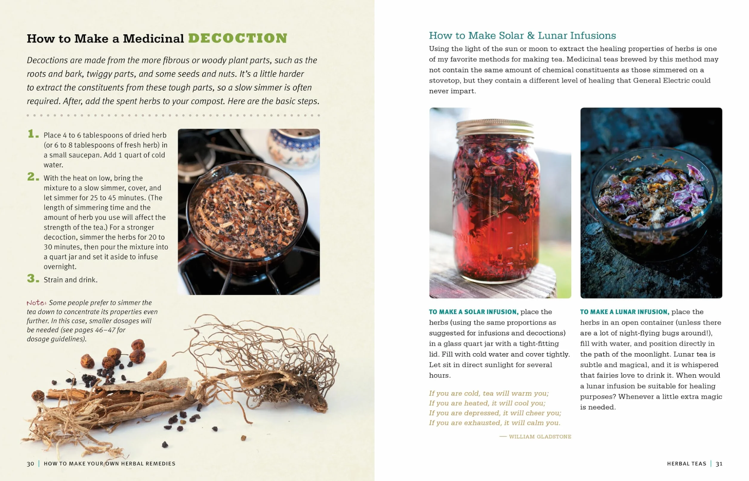 Rosemary Gladstar's Medicinal Herbs: A Beginner's Guide: 33 Healing Herbs to Know, Grow, and Use