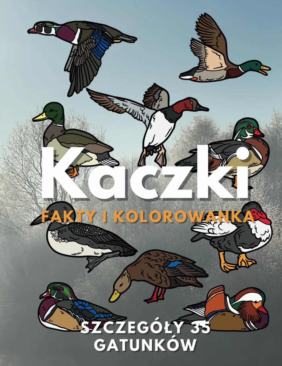 Kaczki: fakty i kolorowanka: dla dzieci w wieku od 2 do 16 lat
