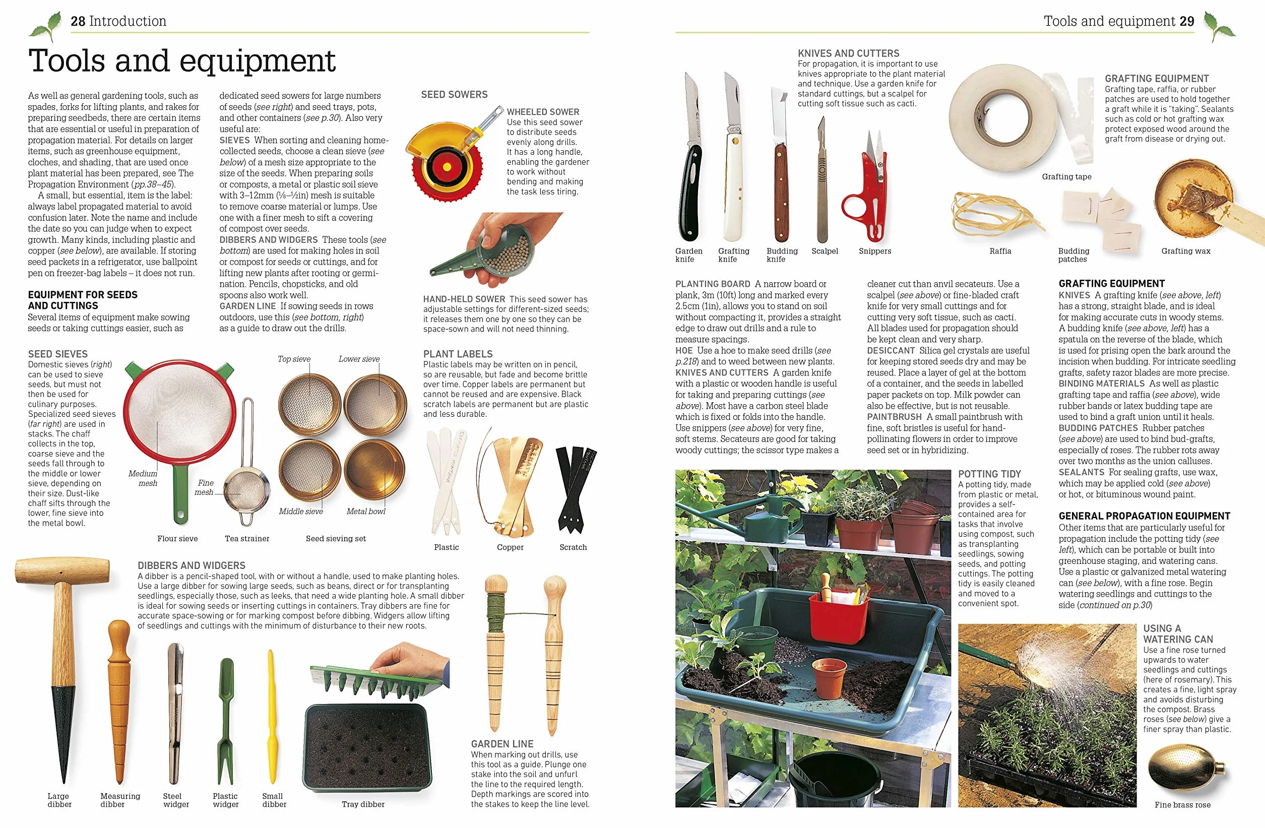 RHS Propagating Plants: How to Create New Plants For Free
