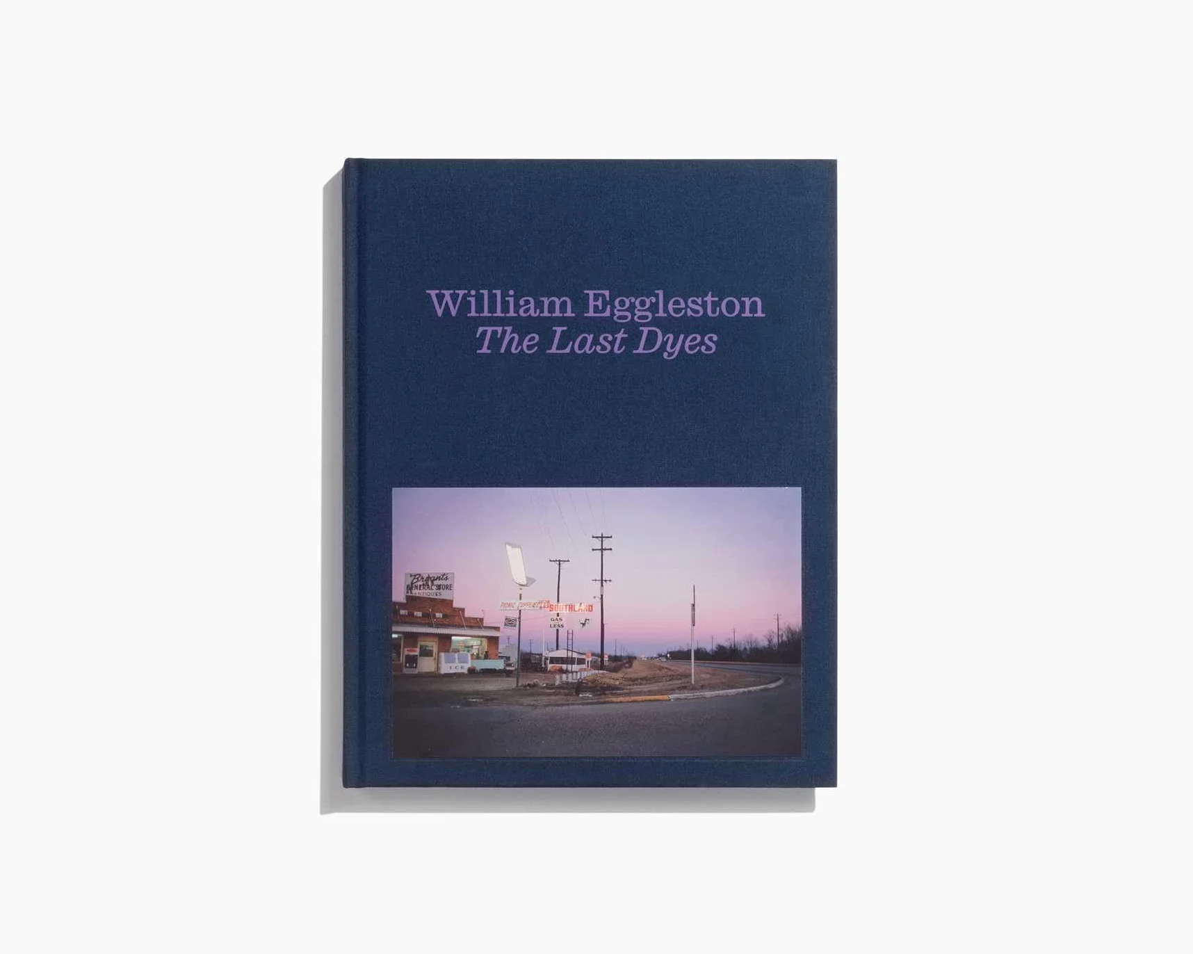 William Eggleston The Last Dyes /anglais