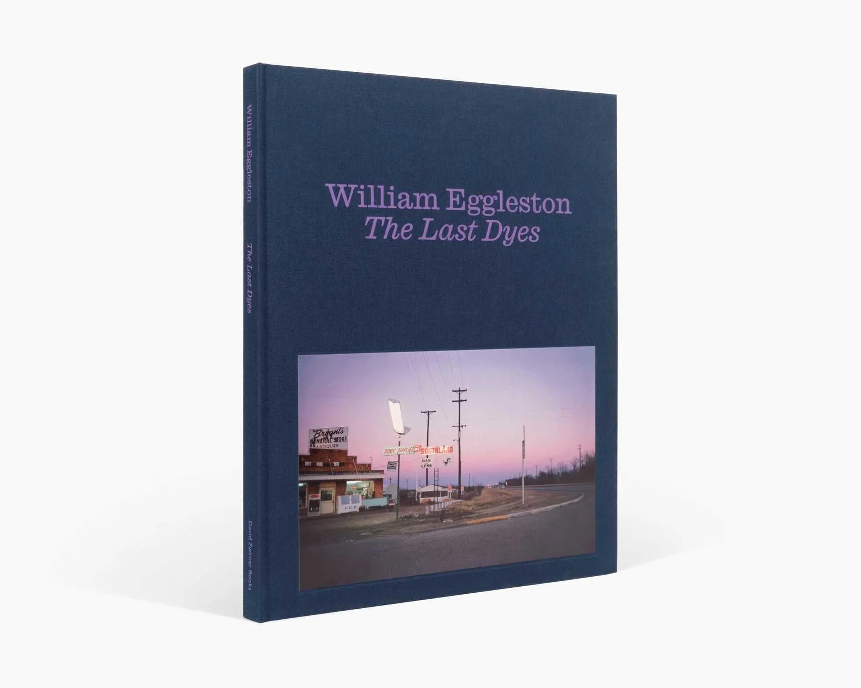 William Eggleston The Last Dyes /anglais