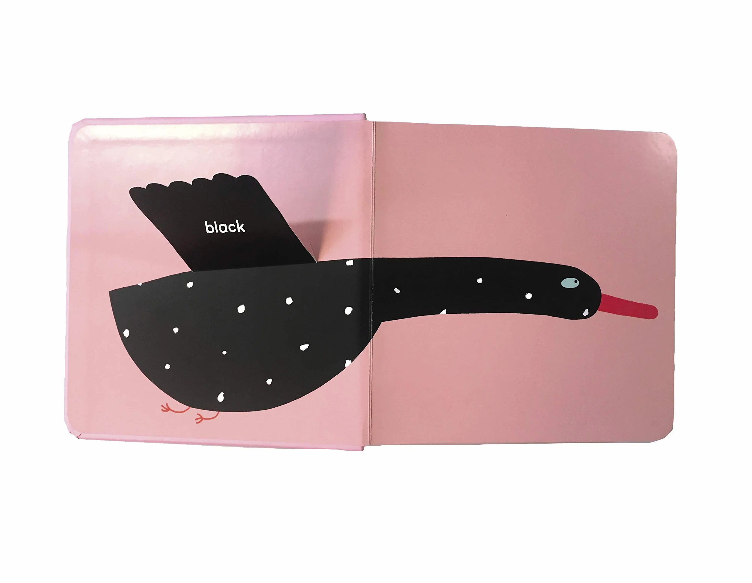 Surprising Birds: Lift-the-Flap Colours (Walker Studio)