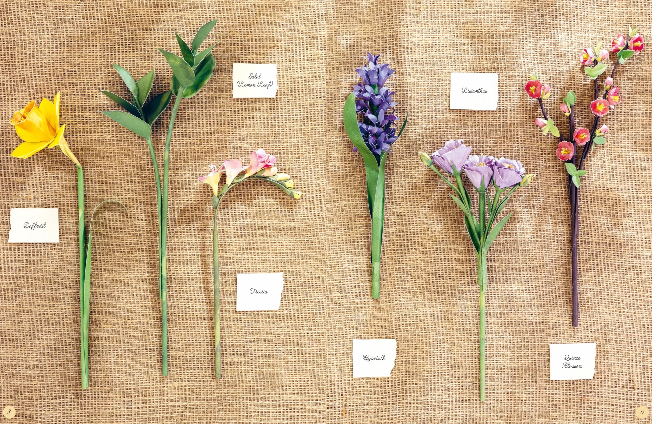 The Bouquet in a Book: Spring: Pre-Punched Pages to Press Out and Make Paper Flowers: 3