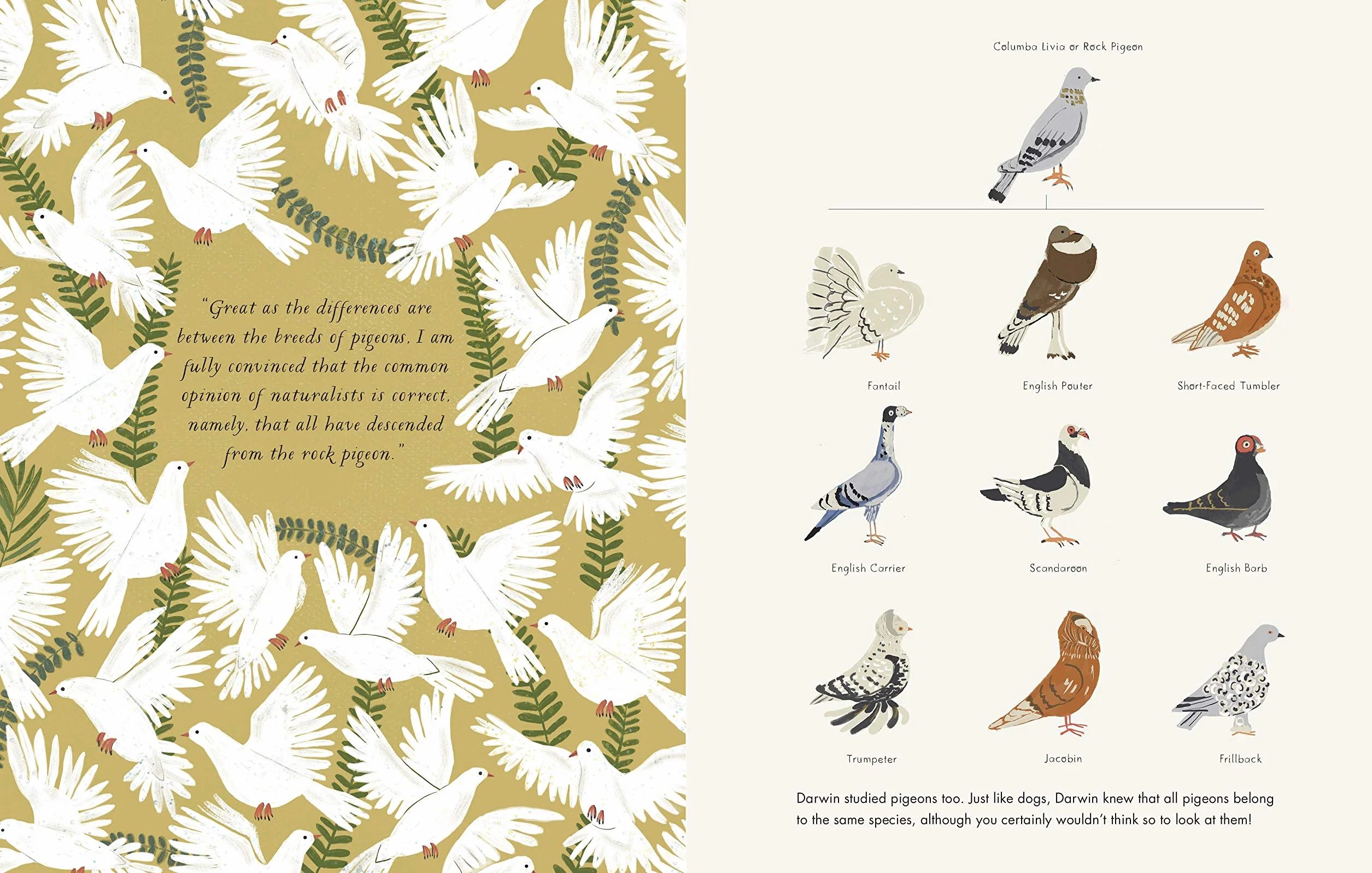 On The Origin of Species