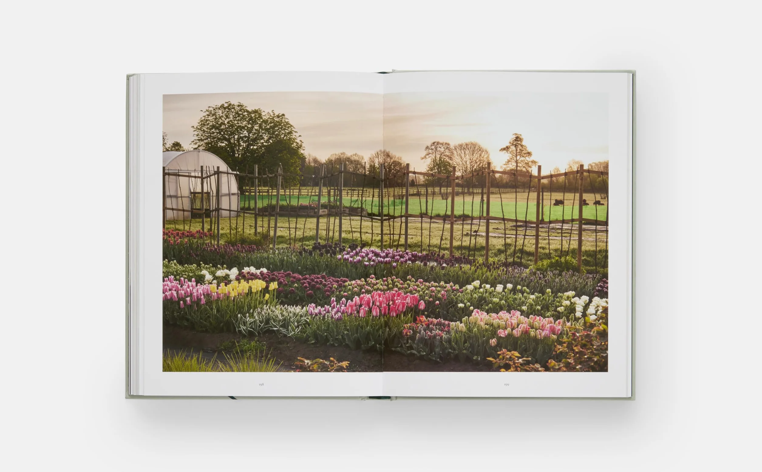 The Tulip Garden: Growing and Collecting Species, Rare and Annual Varieties
