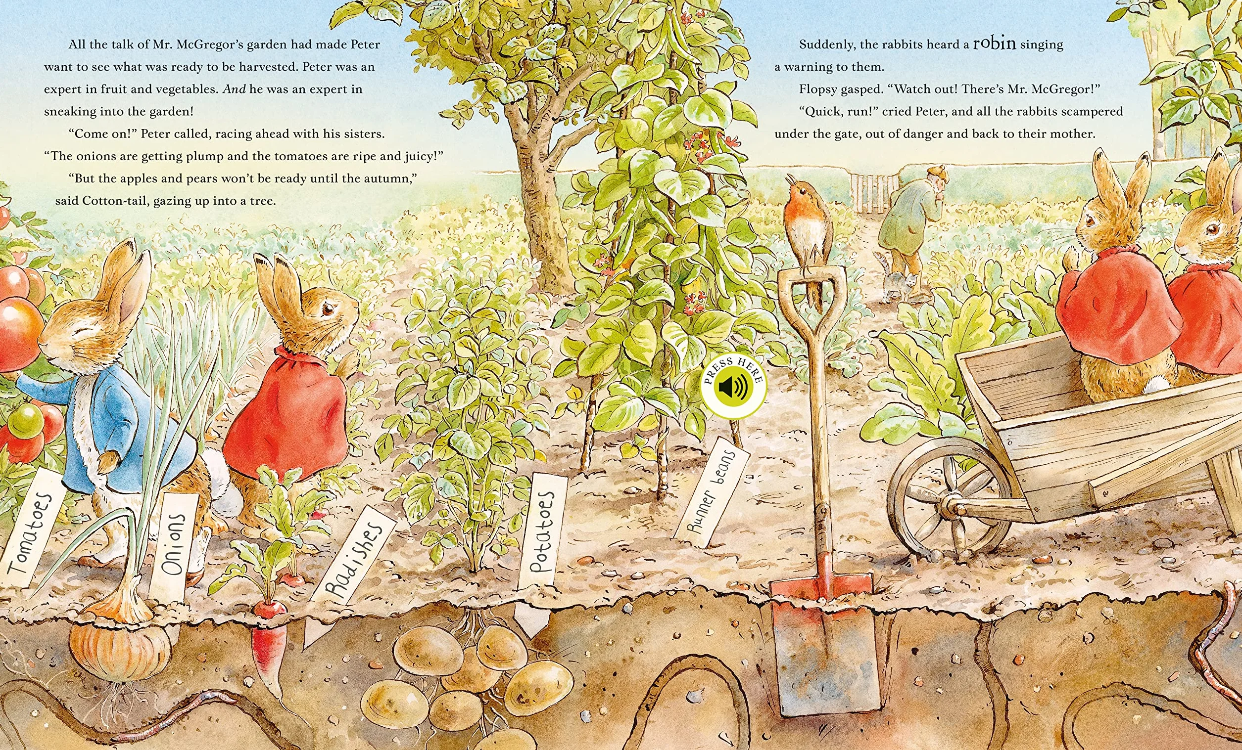 Peter Rabbit: Peter's Nature Walk: A Sound Book