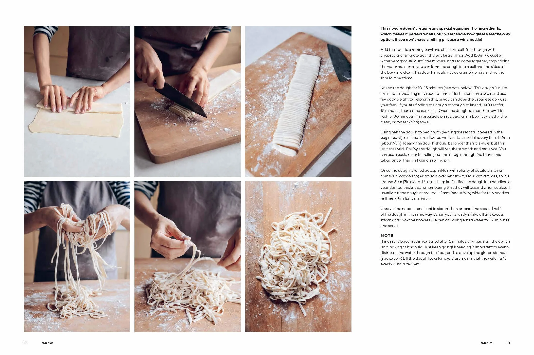 Dumplings and Noodles: Over 70 Modern Recipes for the Home Cook